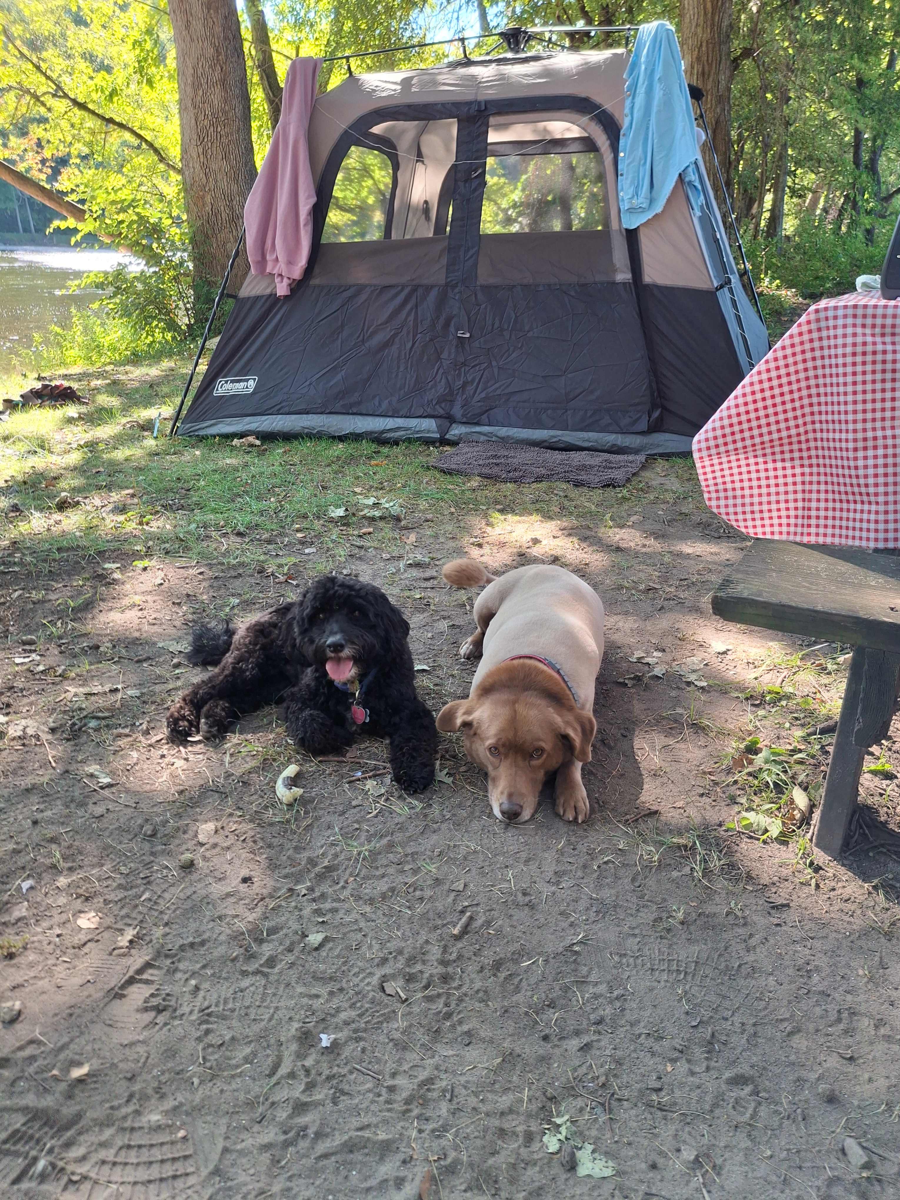 Sycamore Springs Farm on Springboro