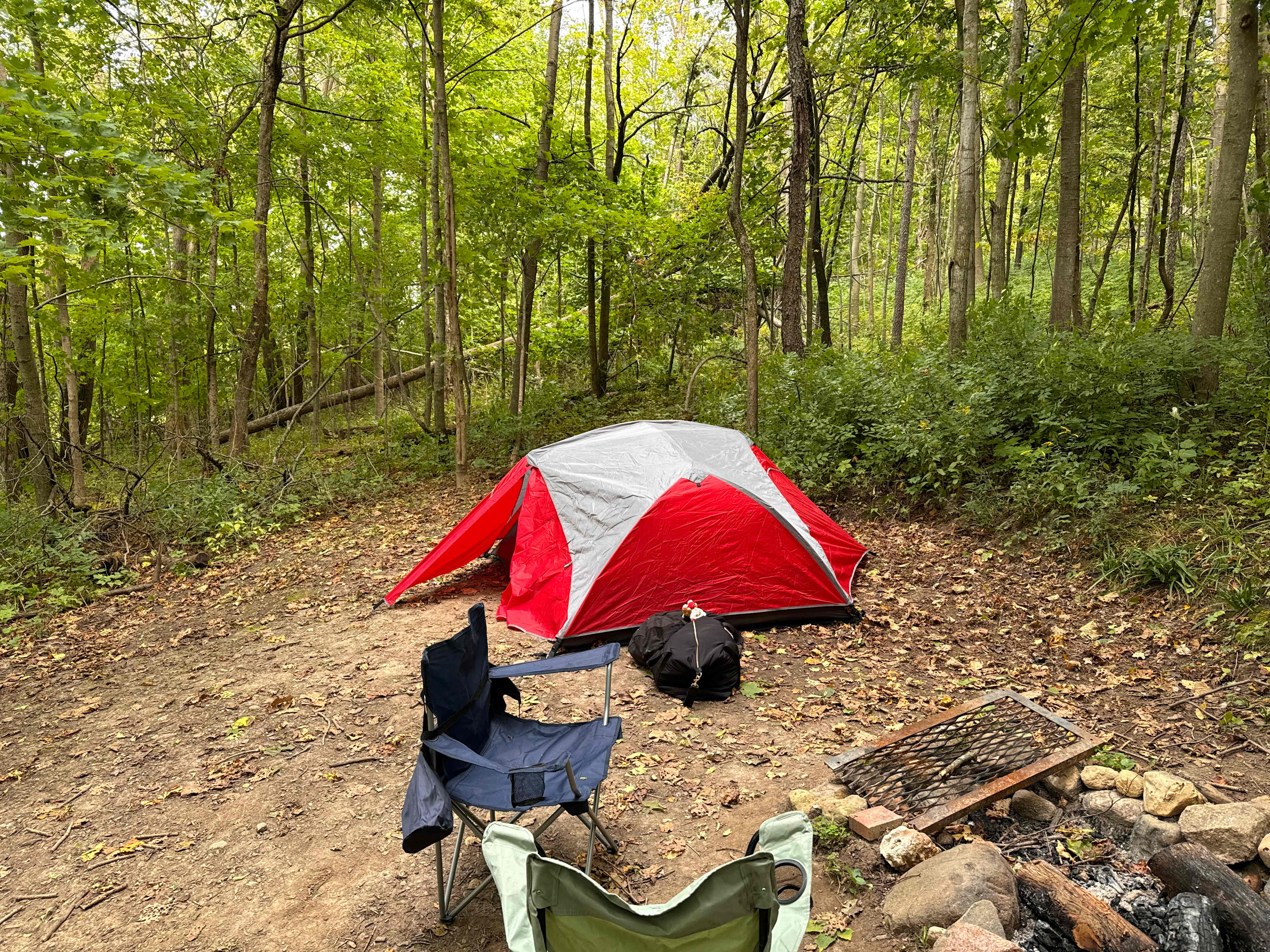 Twisted Elm Site 3