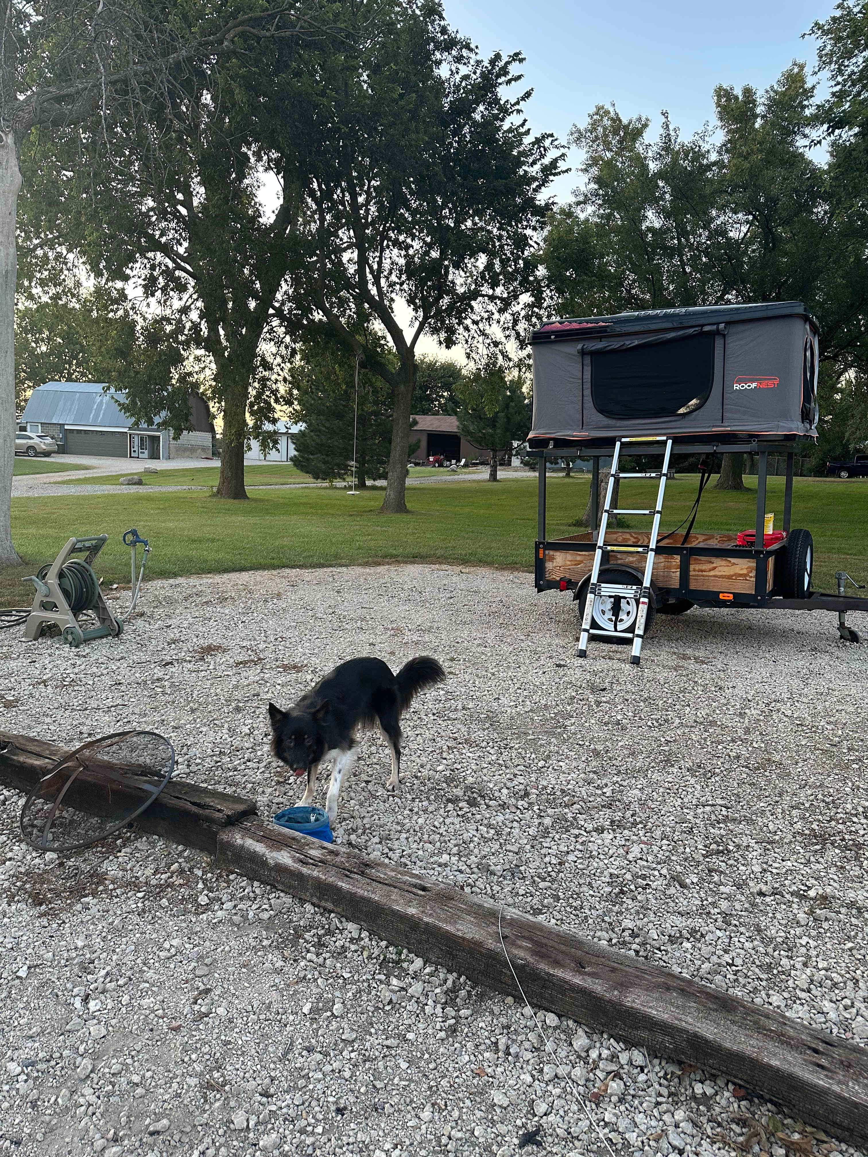 Loved the extra space we could let our dog investigate