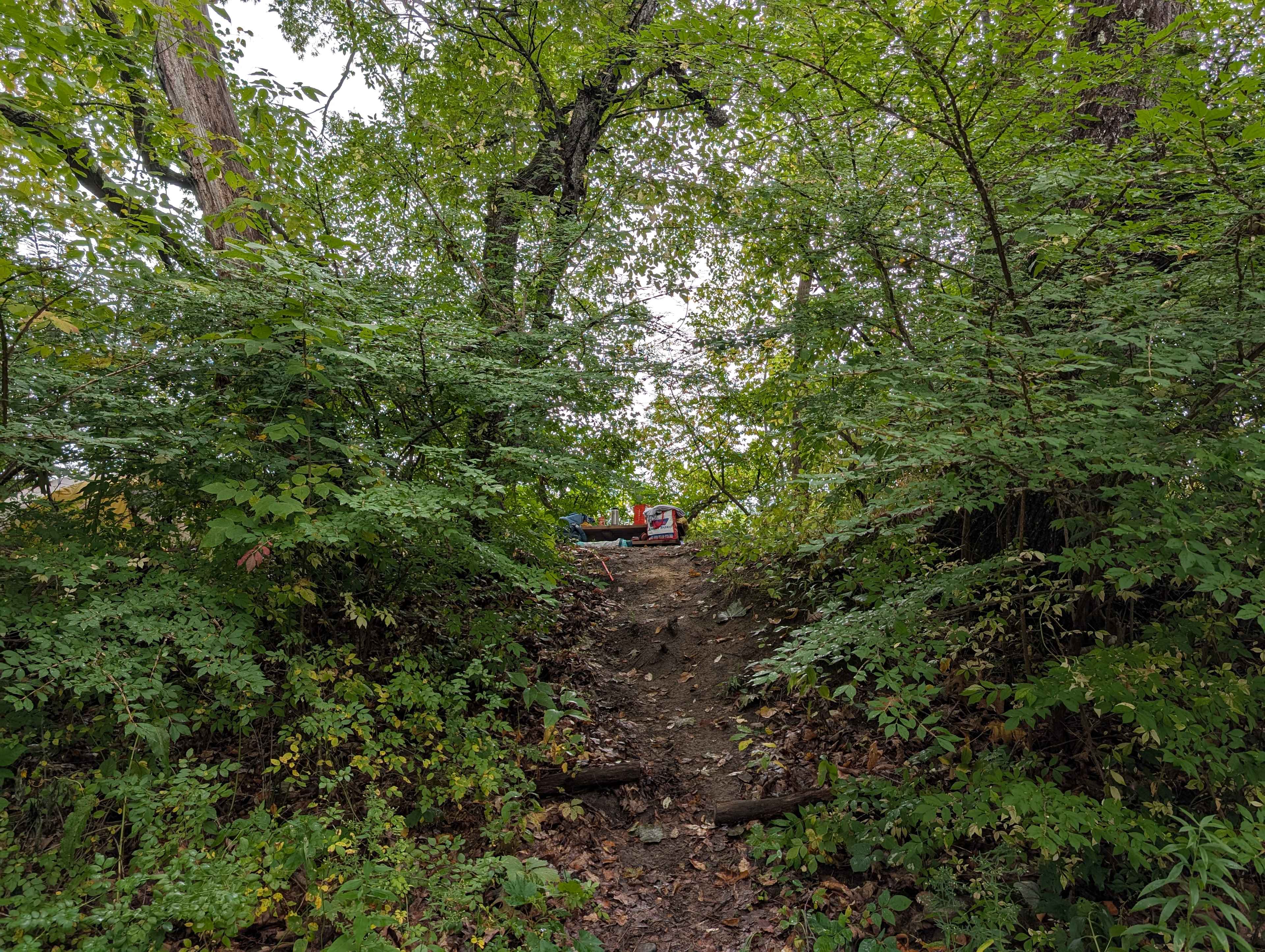 Path up to site from the river