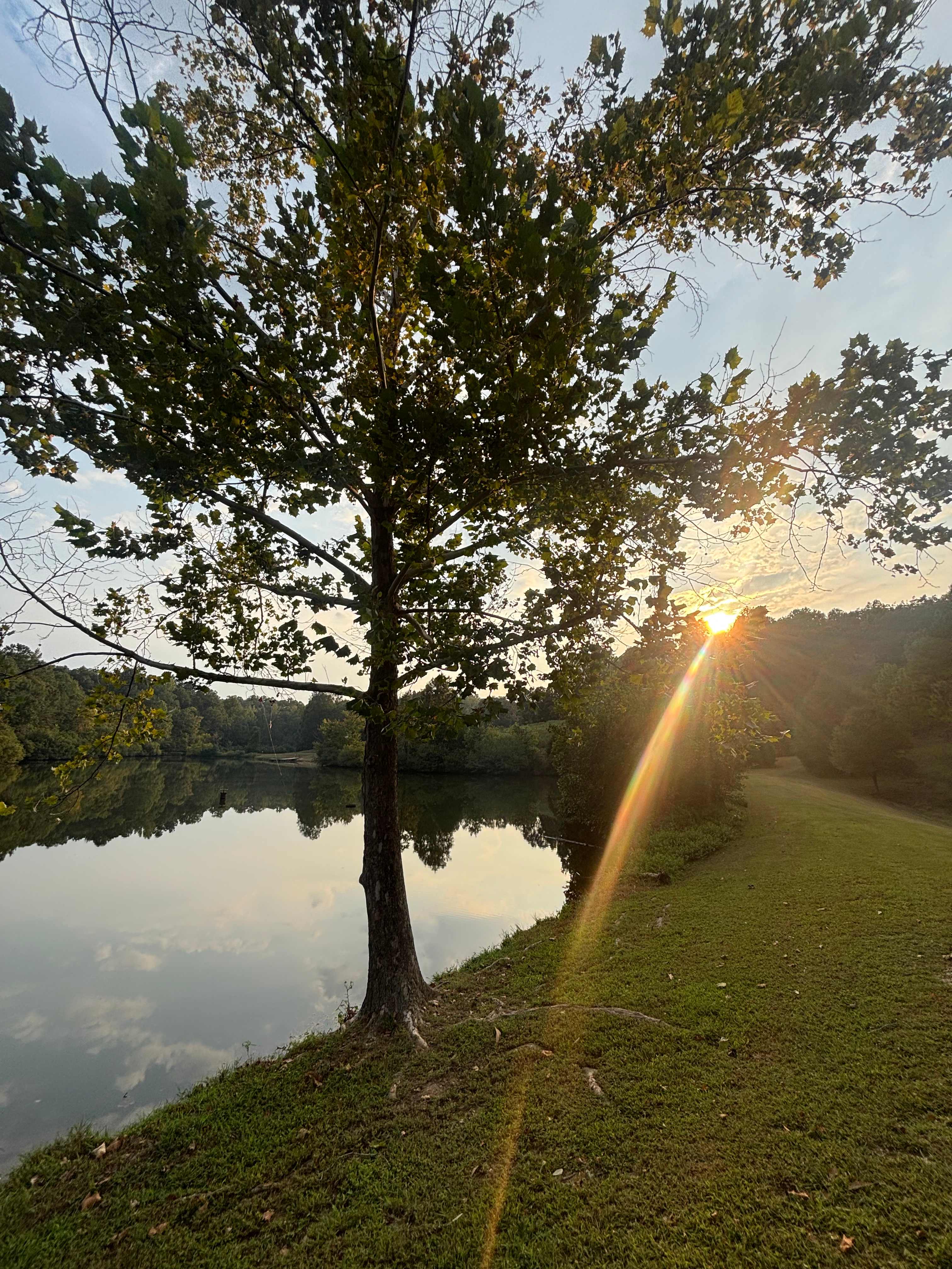 Bohamia - Glamp/RV/Camp