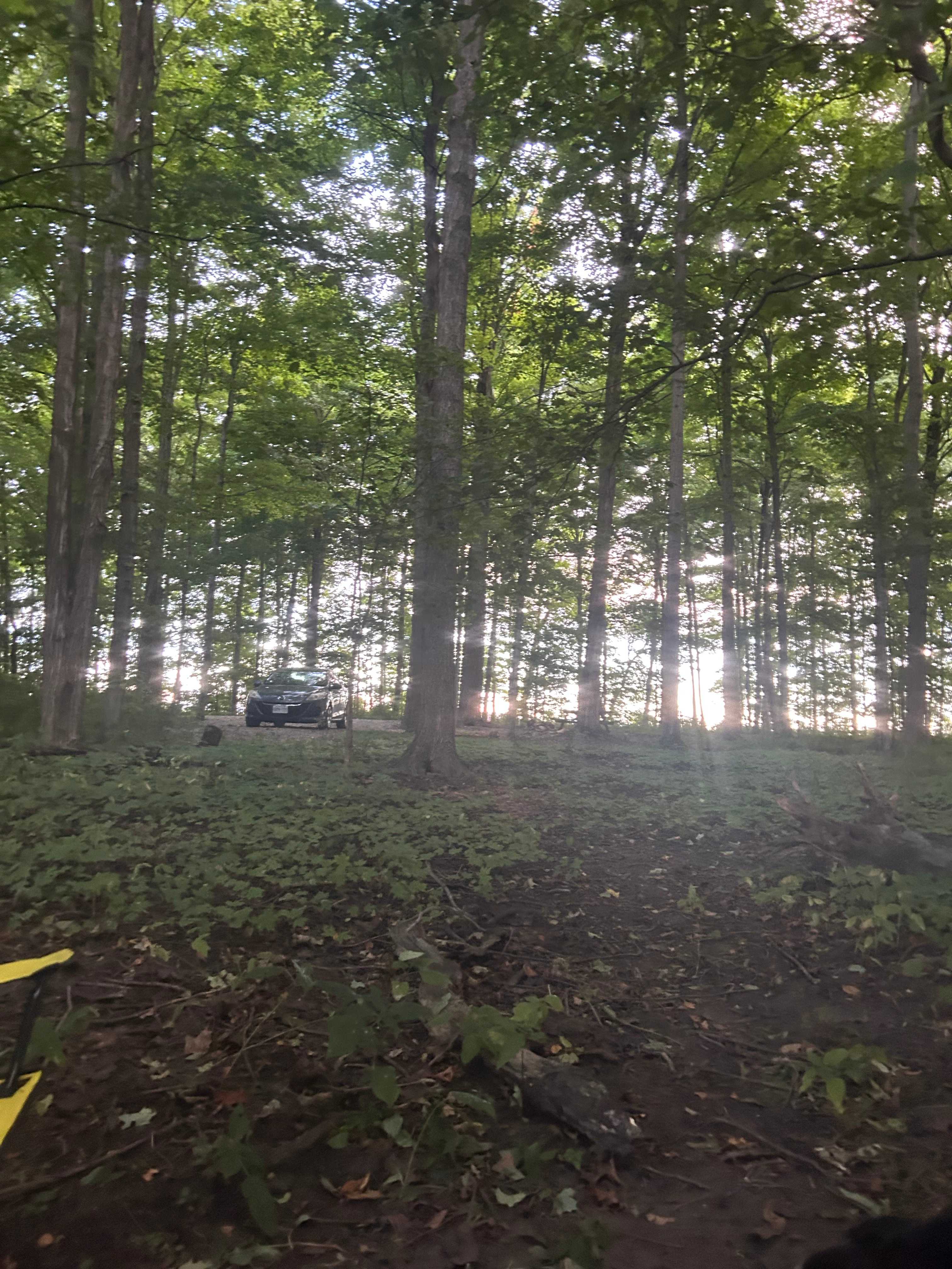 Greener Pastures Eco Farm