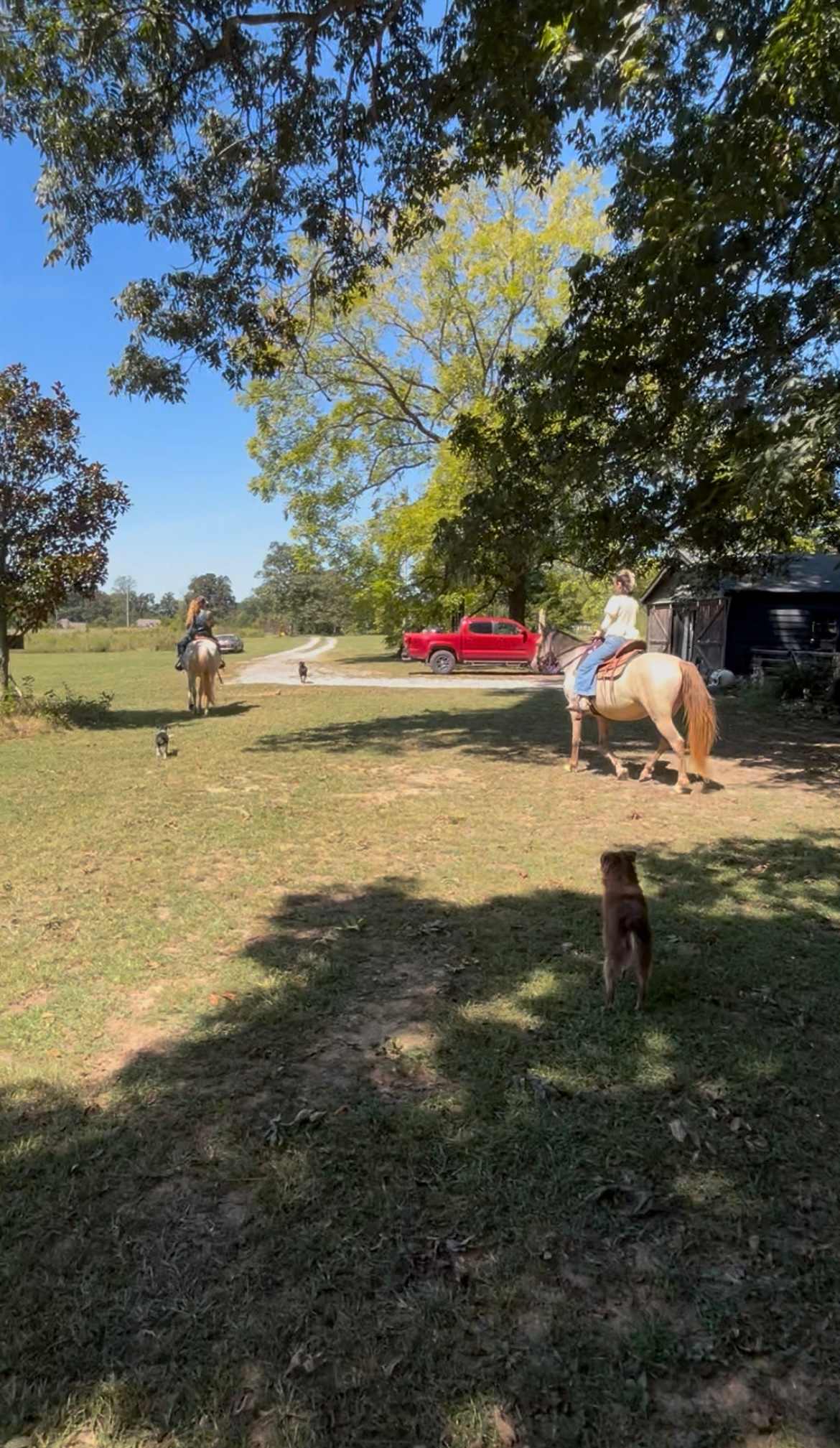 Sacred Dog Ranch