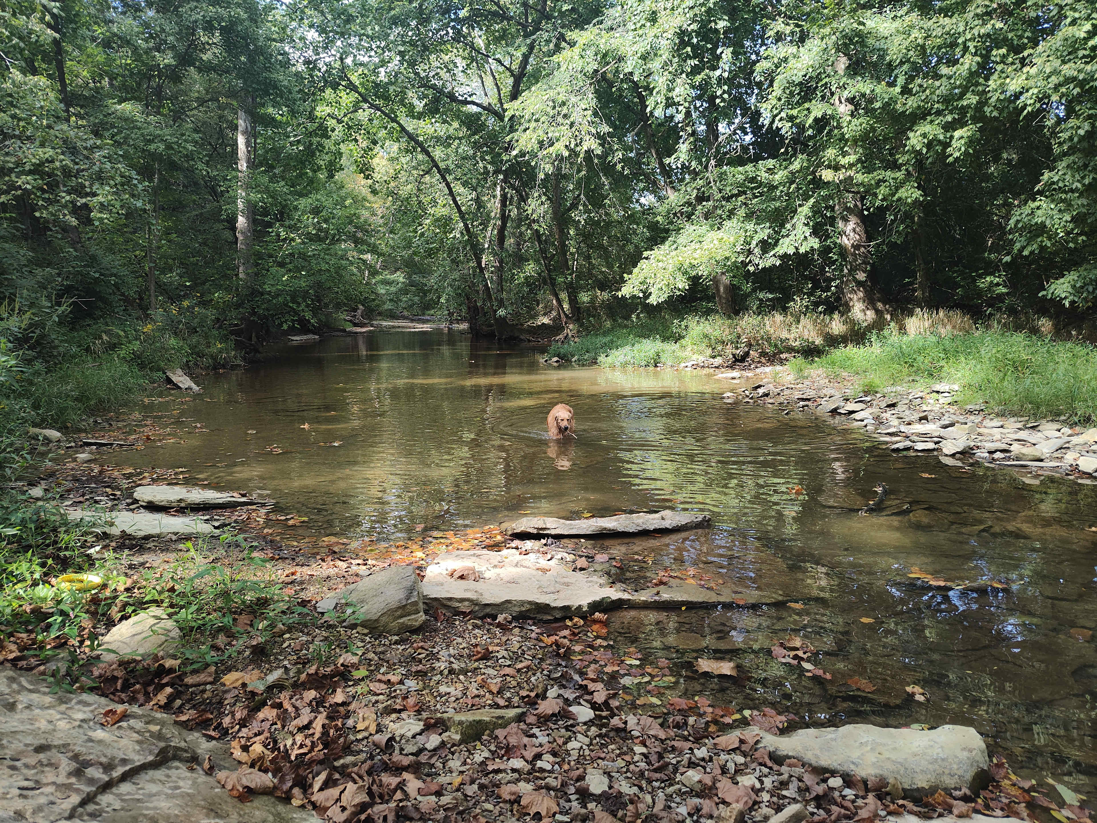 Buck Creek Sanctuary