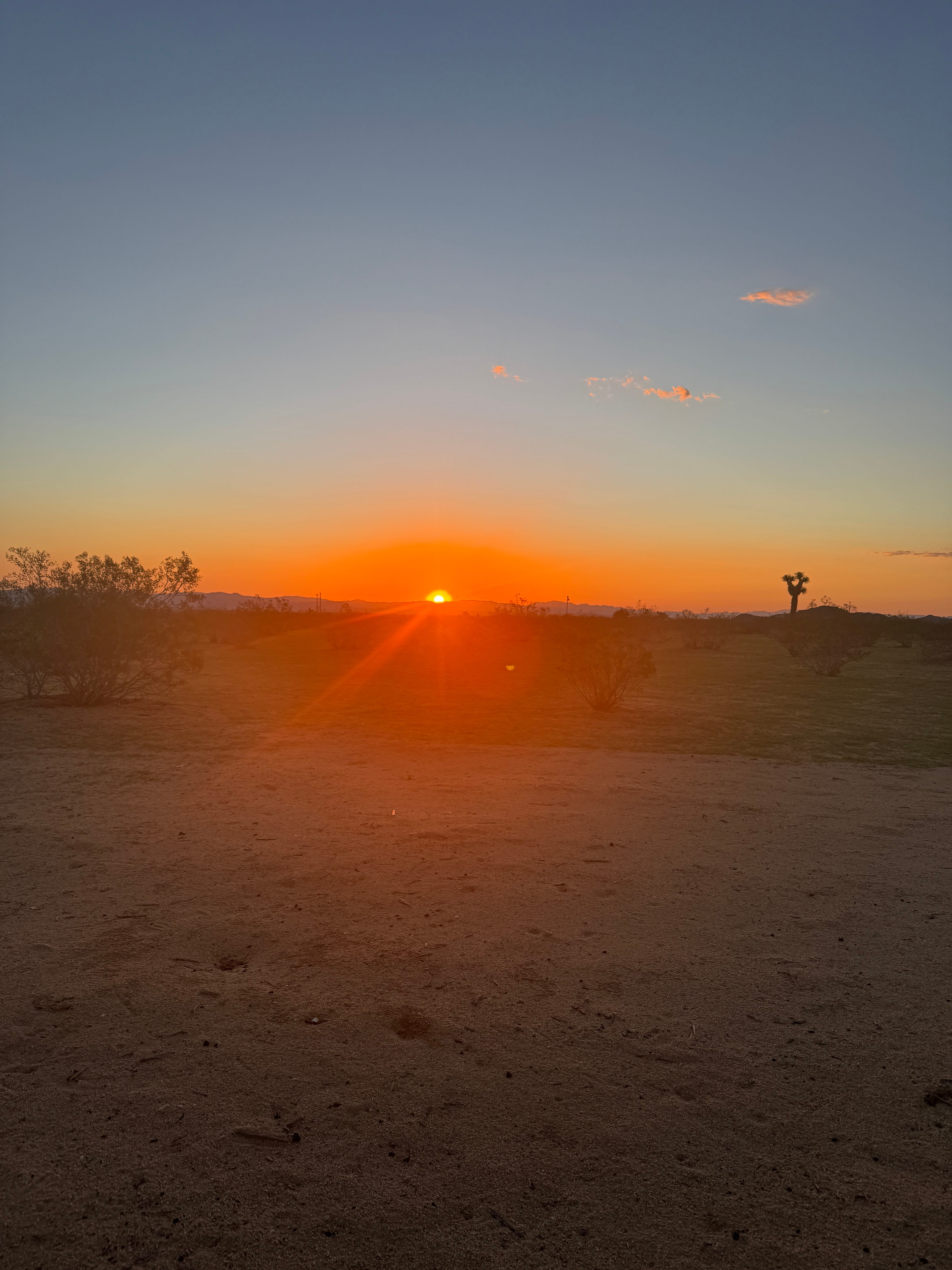The Sunrise Sanctuary