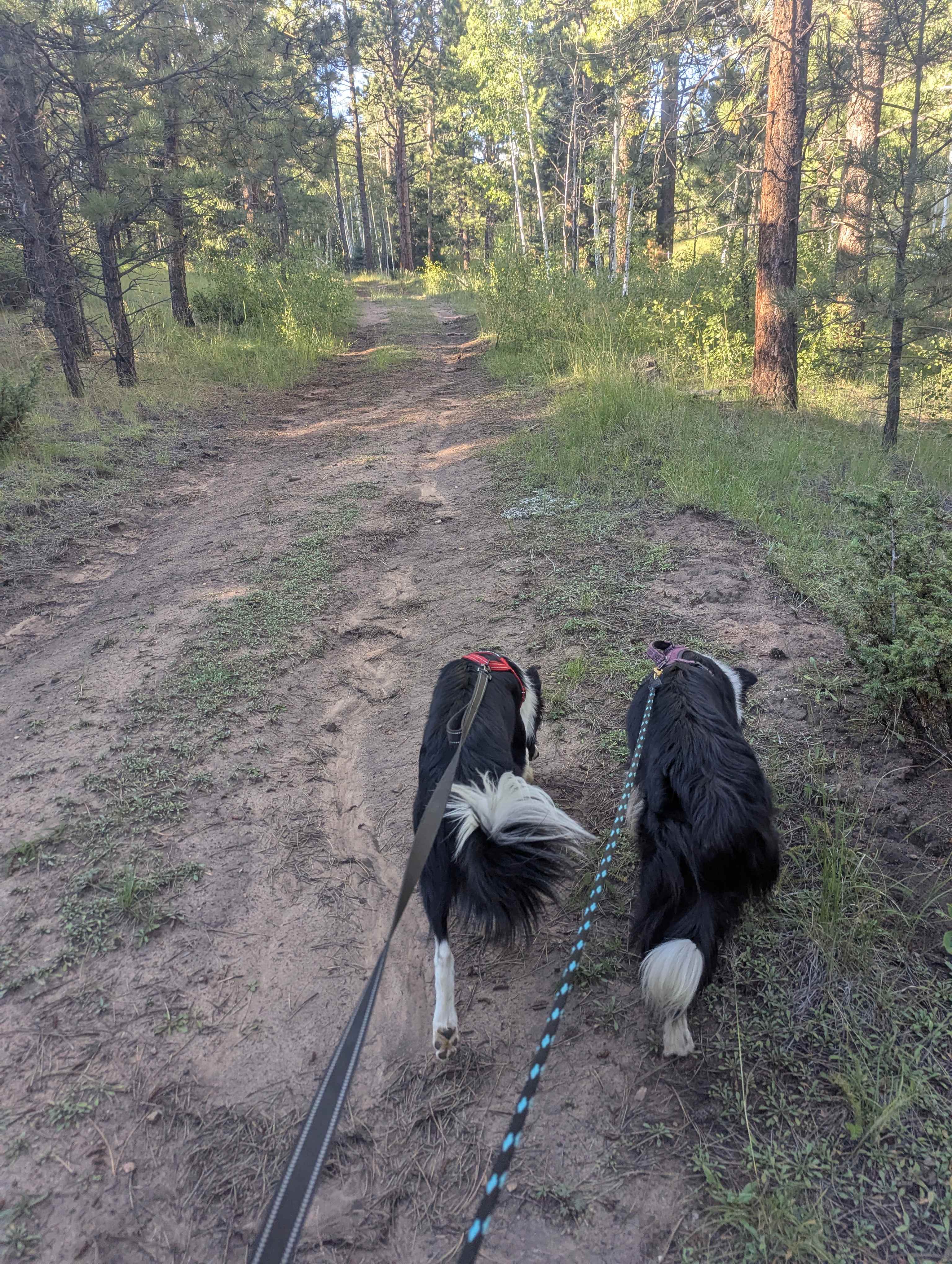 Enchanted Circle Campground (E<<)