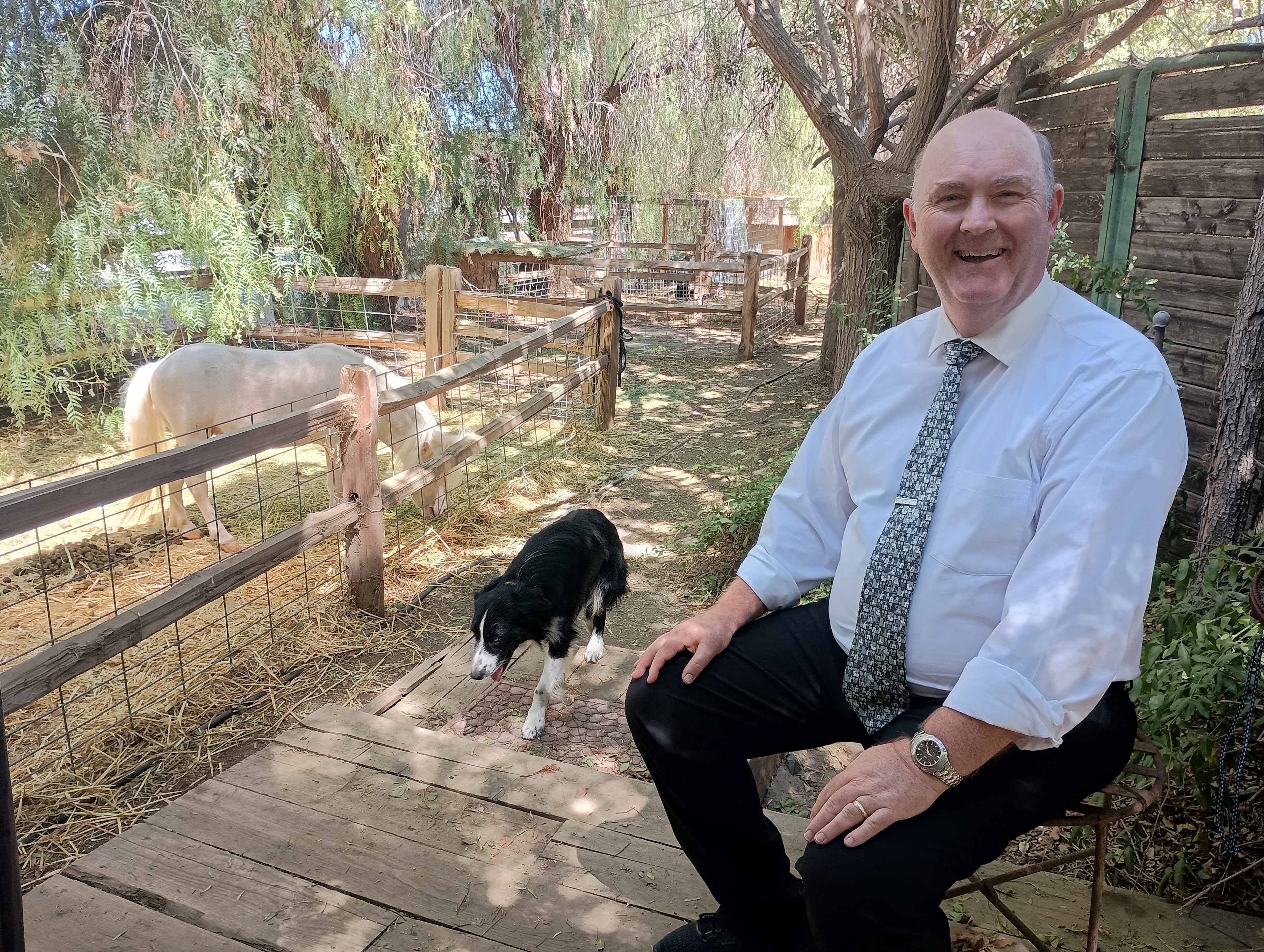 Our new friends❤️