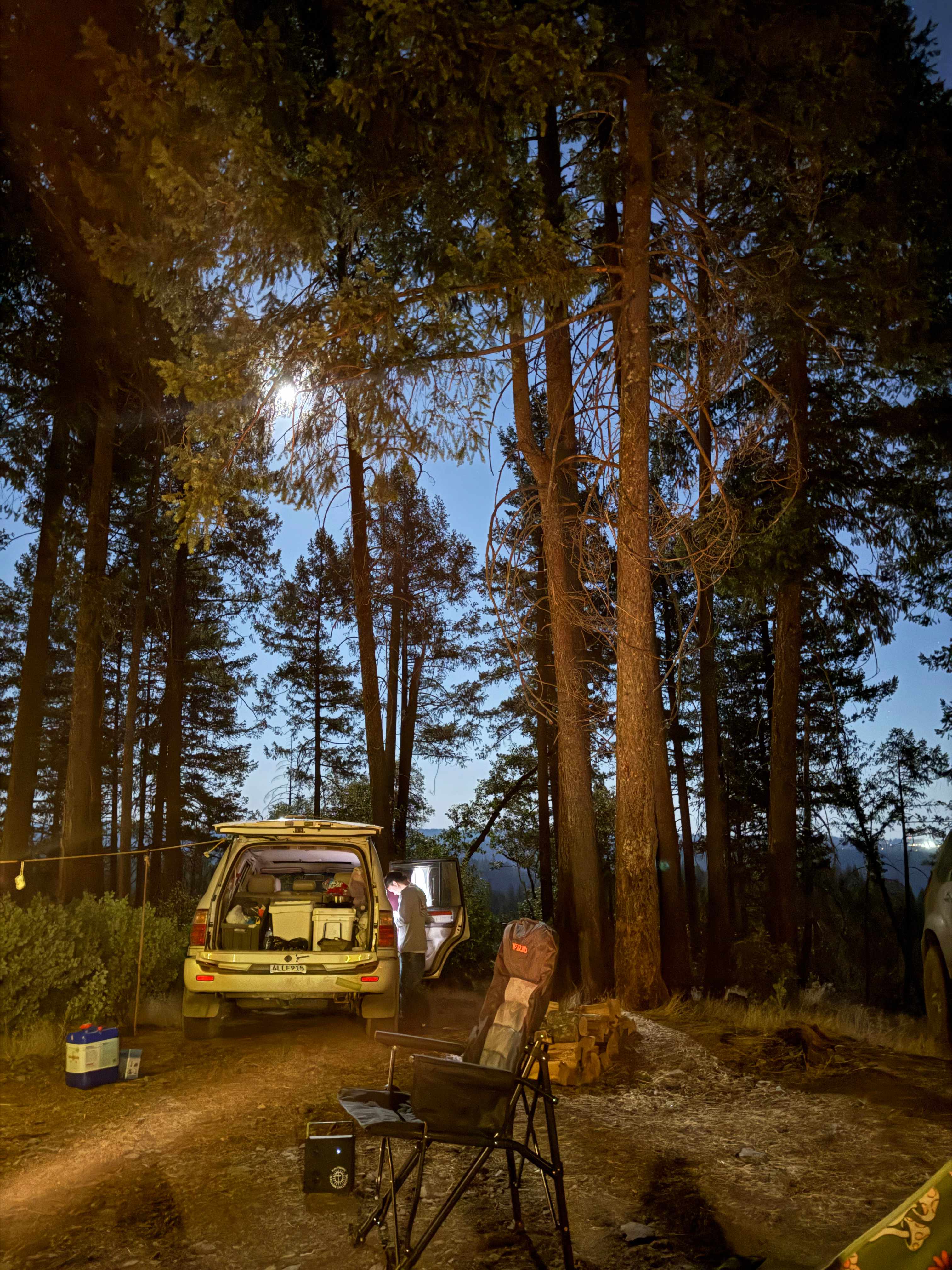 160 Acres amidst National Forest