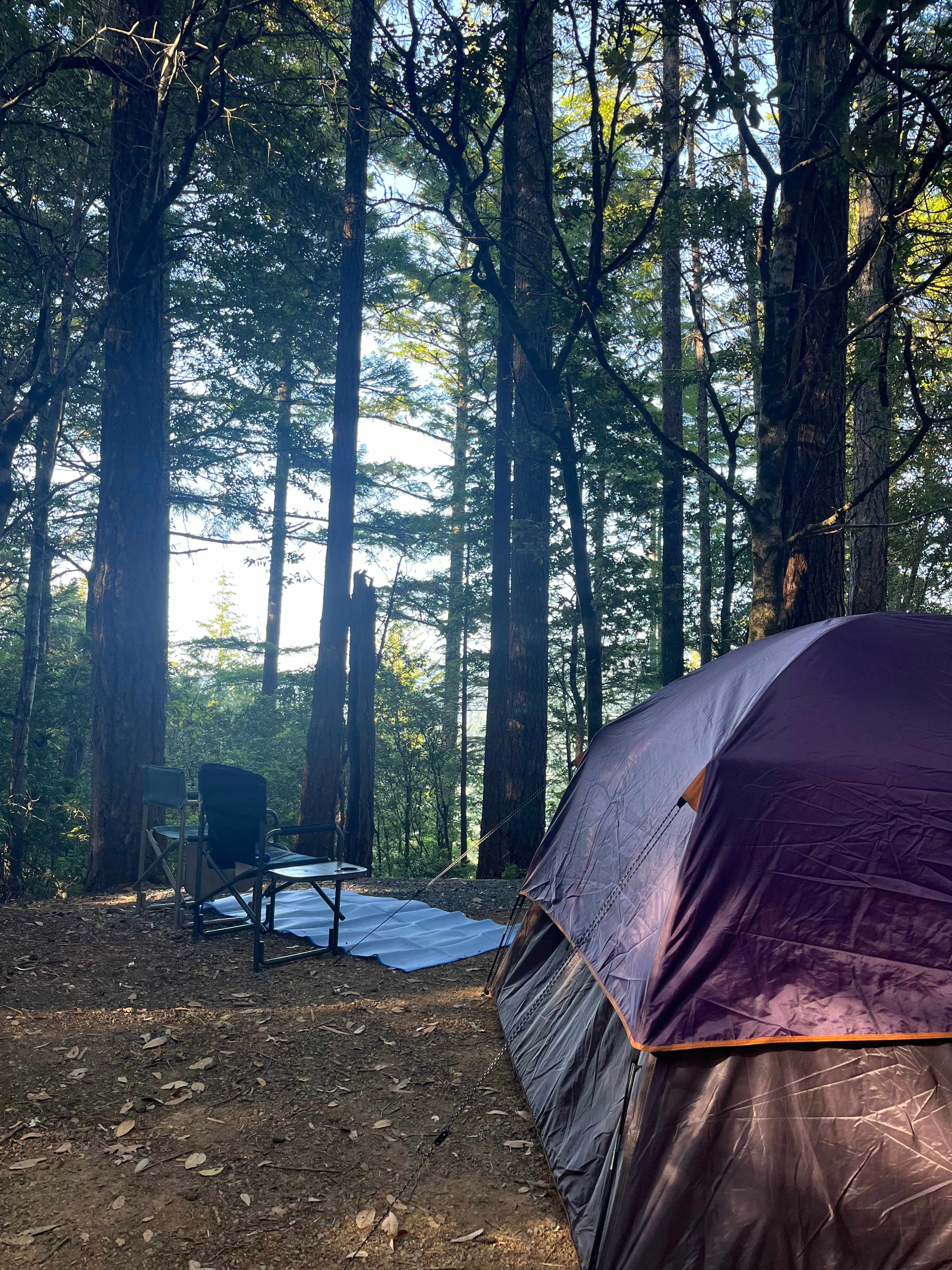 Pickle Barrel Cabin and Camp