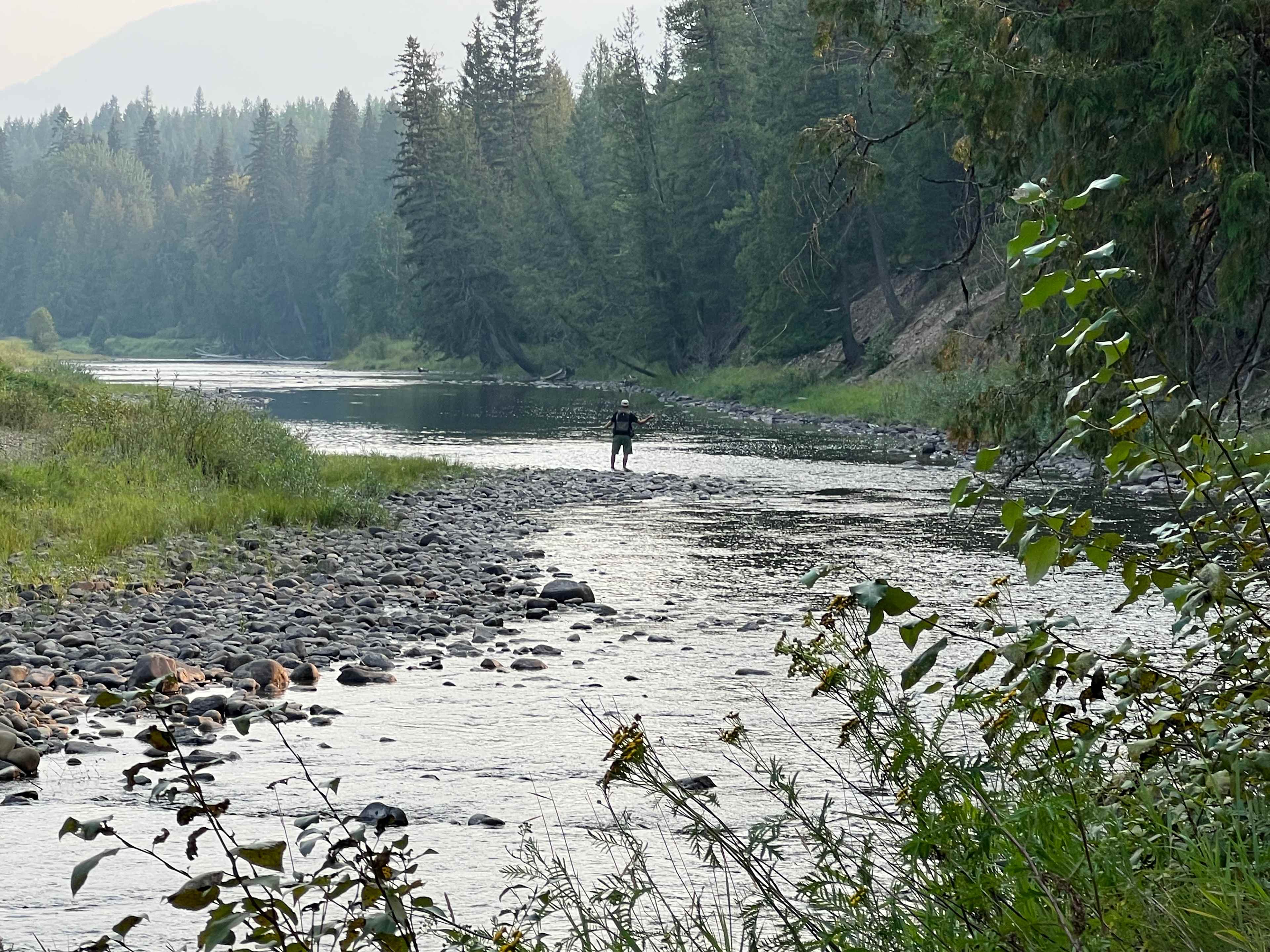 Looking downriver from the rv site.