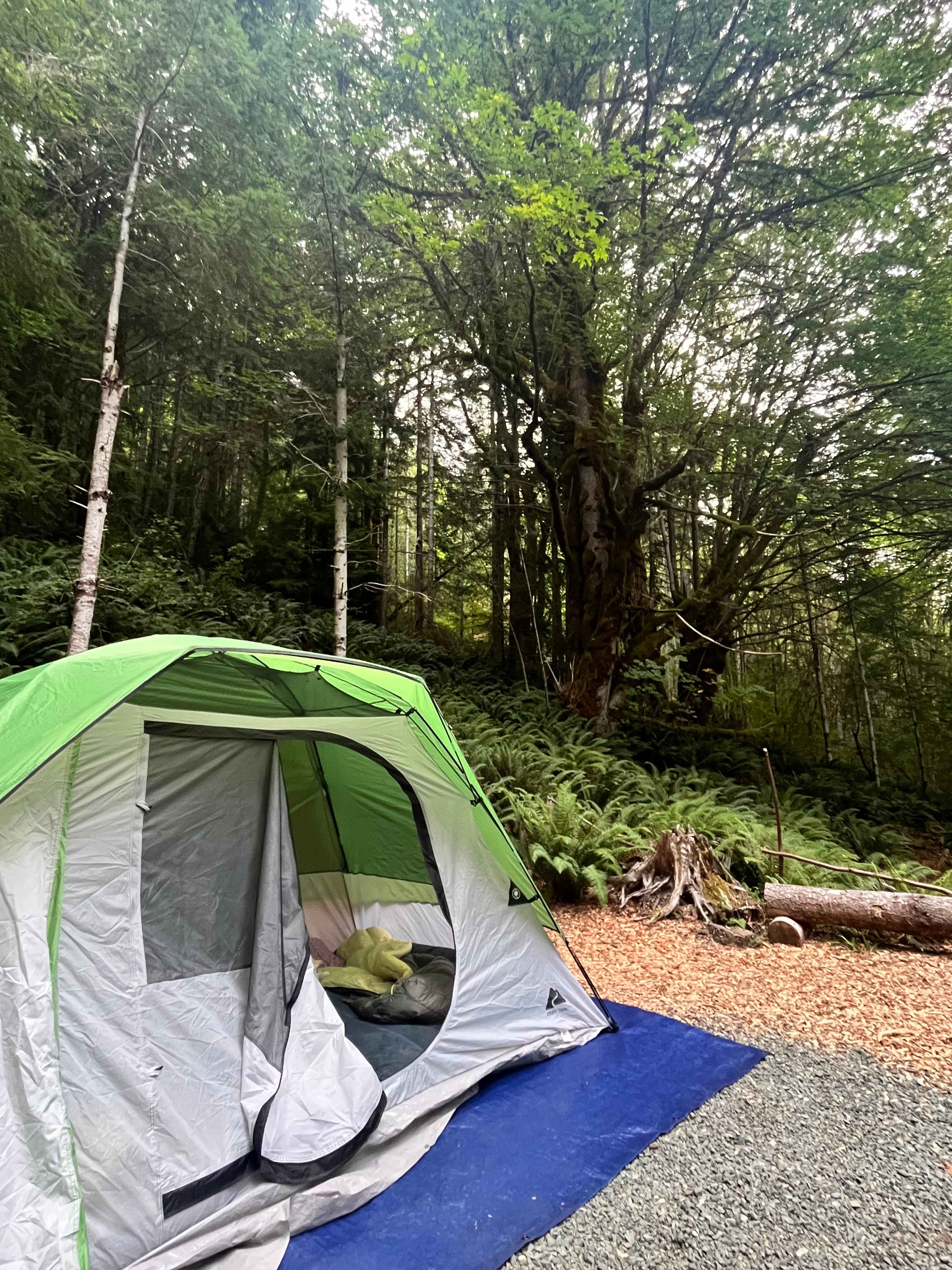 Wandering Joy Campground