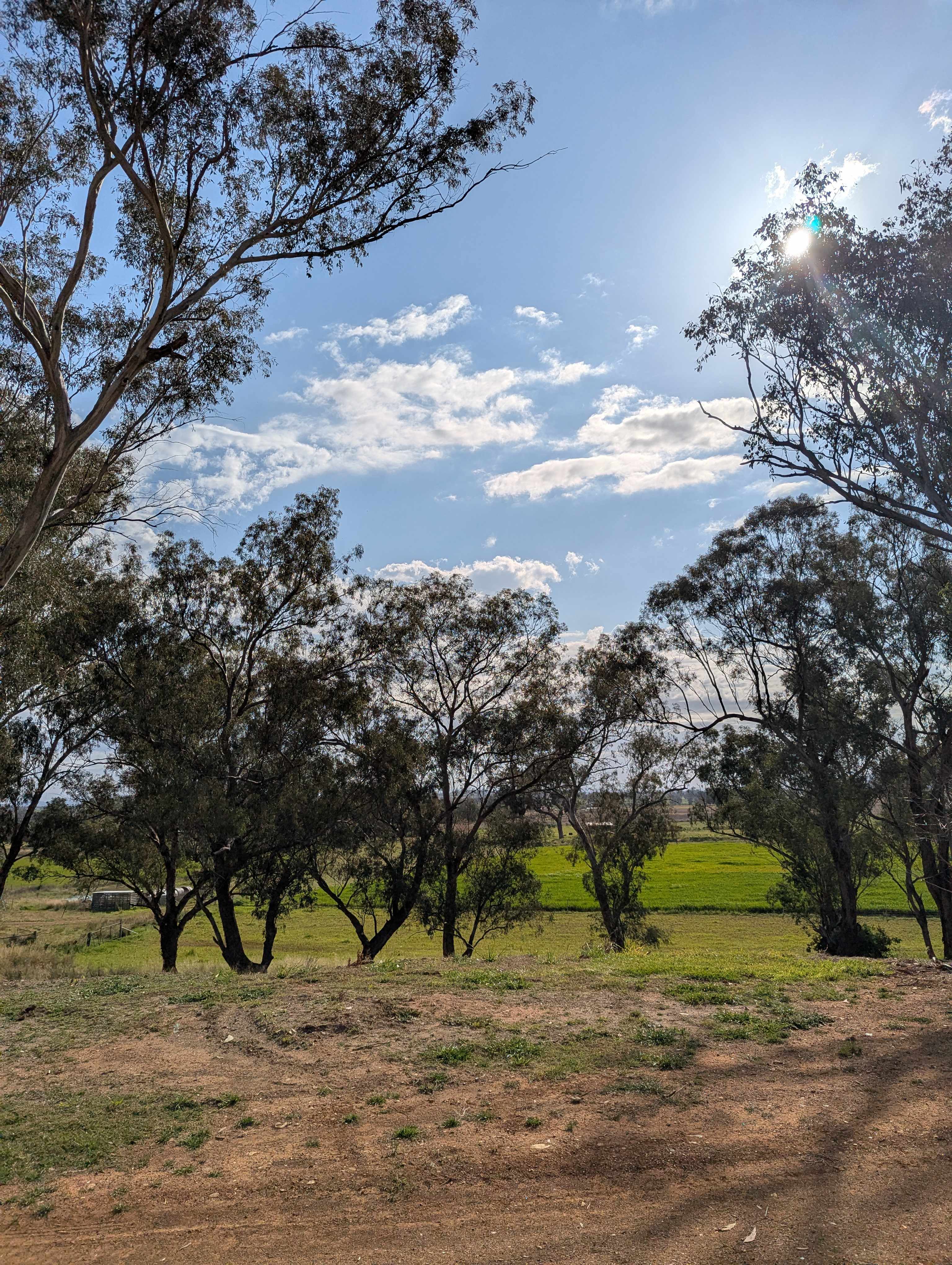 Oakey Farm