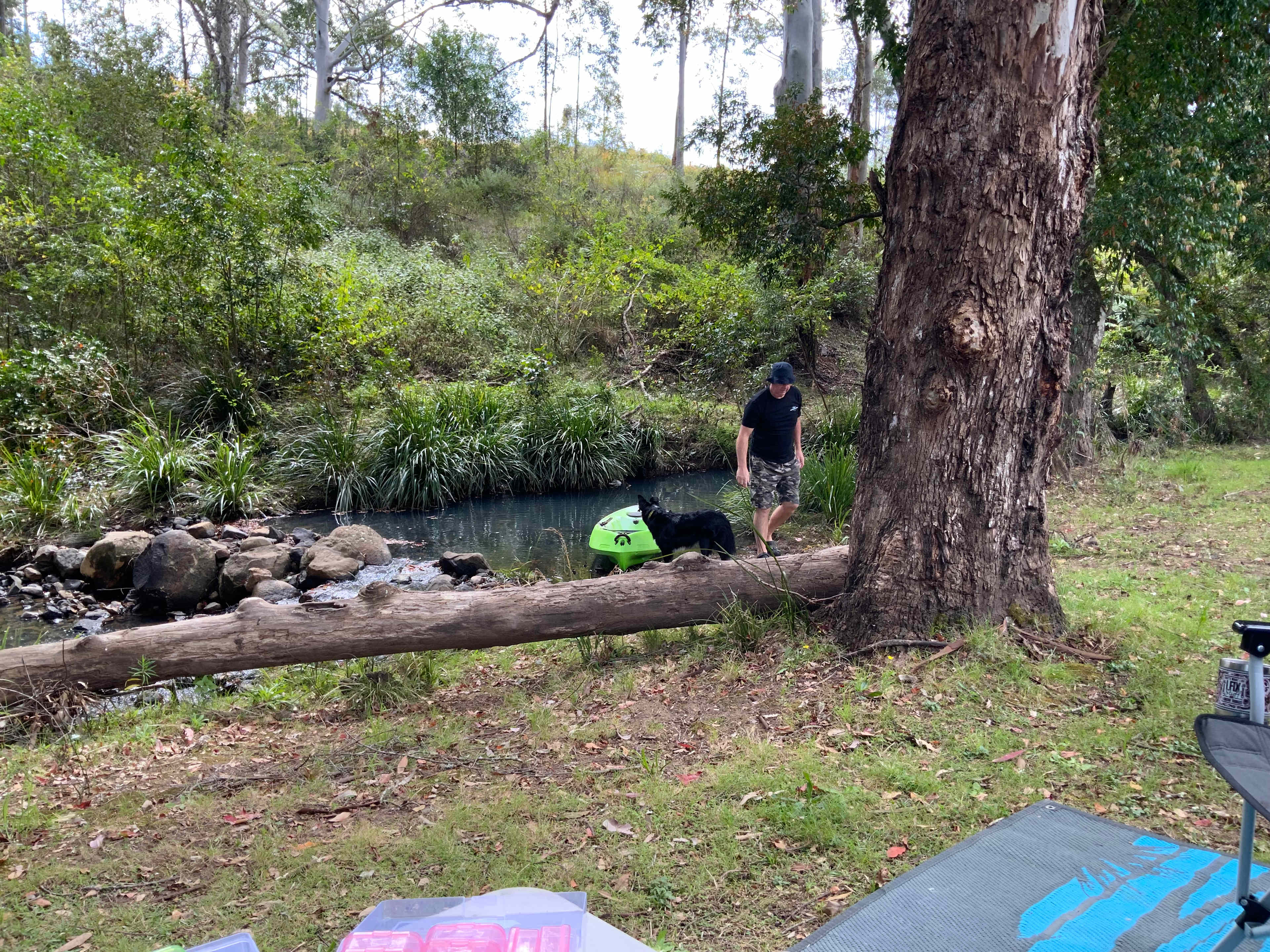 Critterland - Cabin & Camping