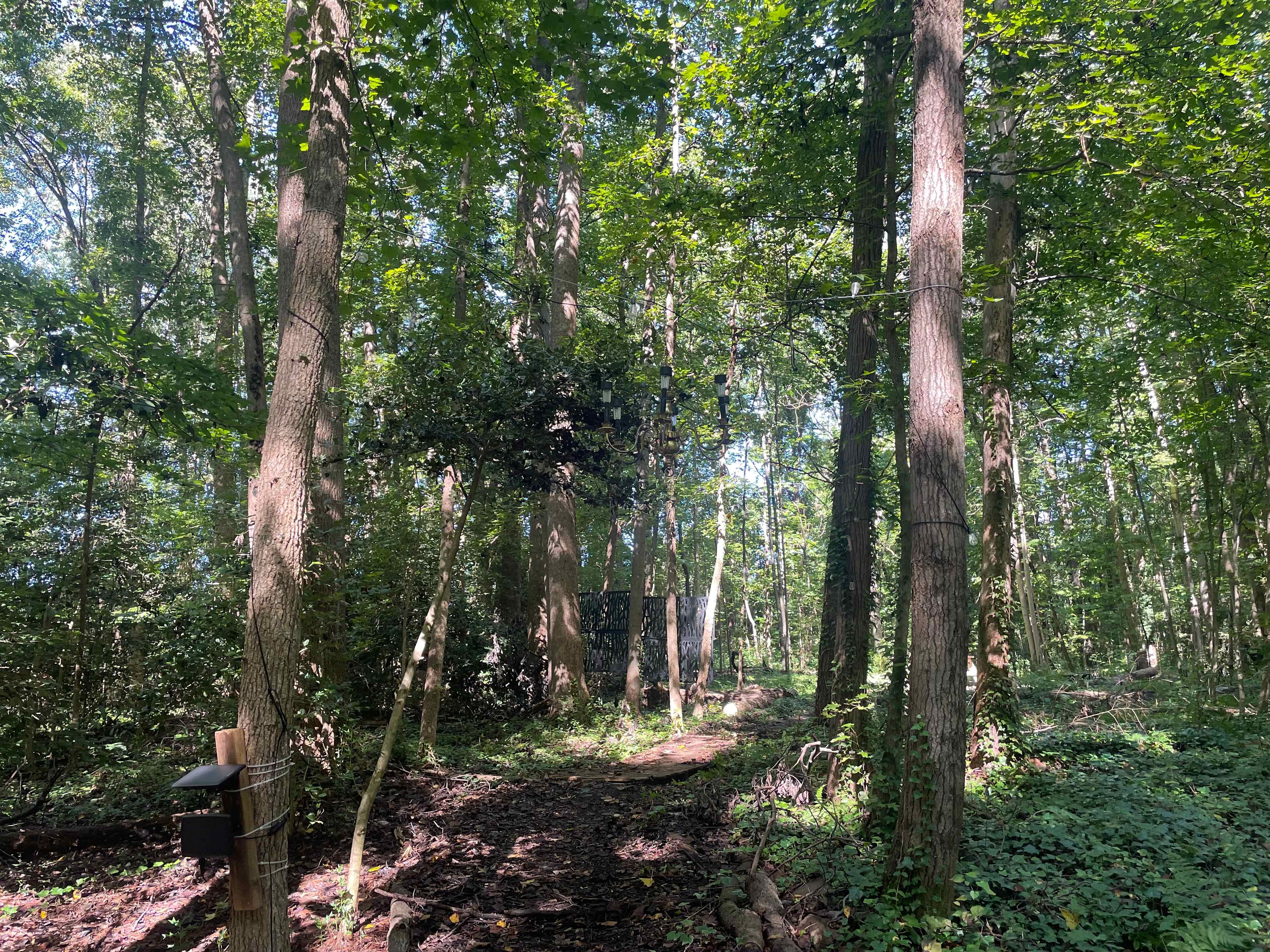 Flower & Fields Farm