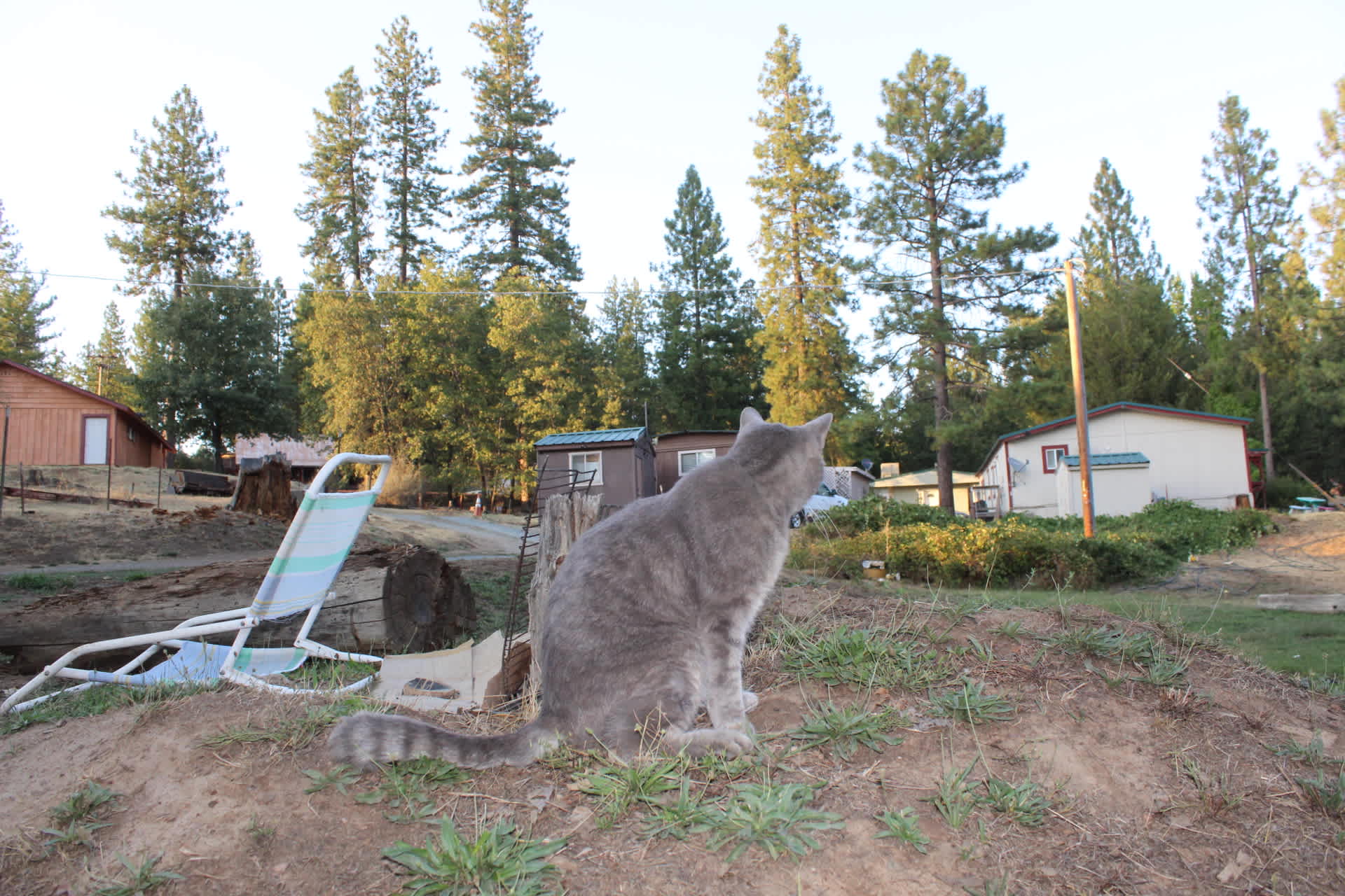 Yosemite Westlake Camp