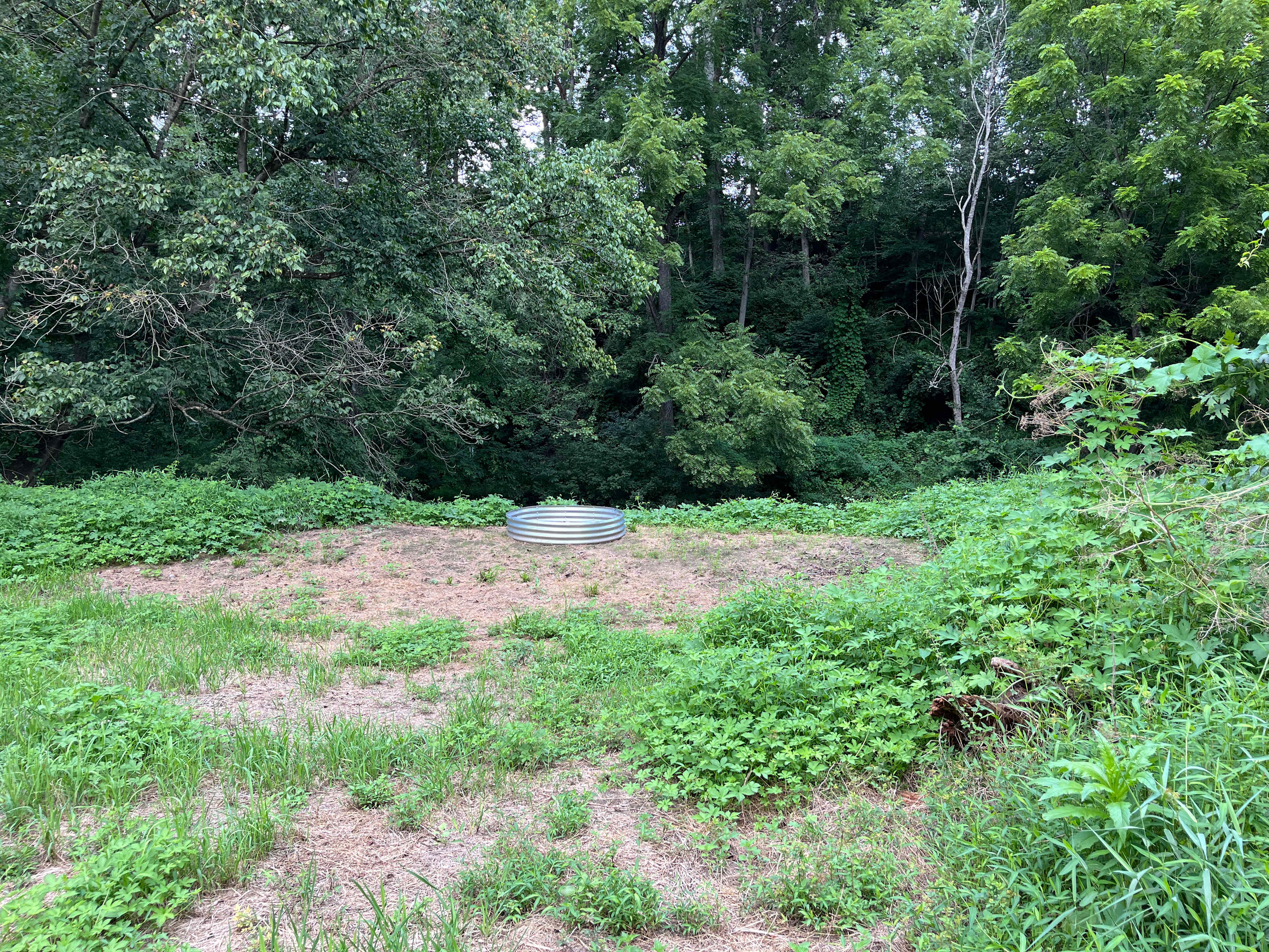 Fire ring and tent site