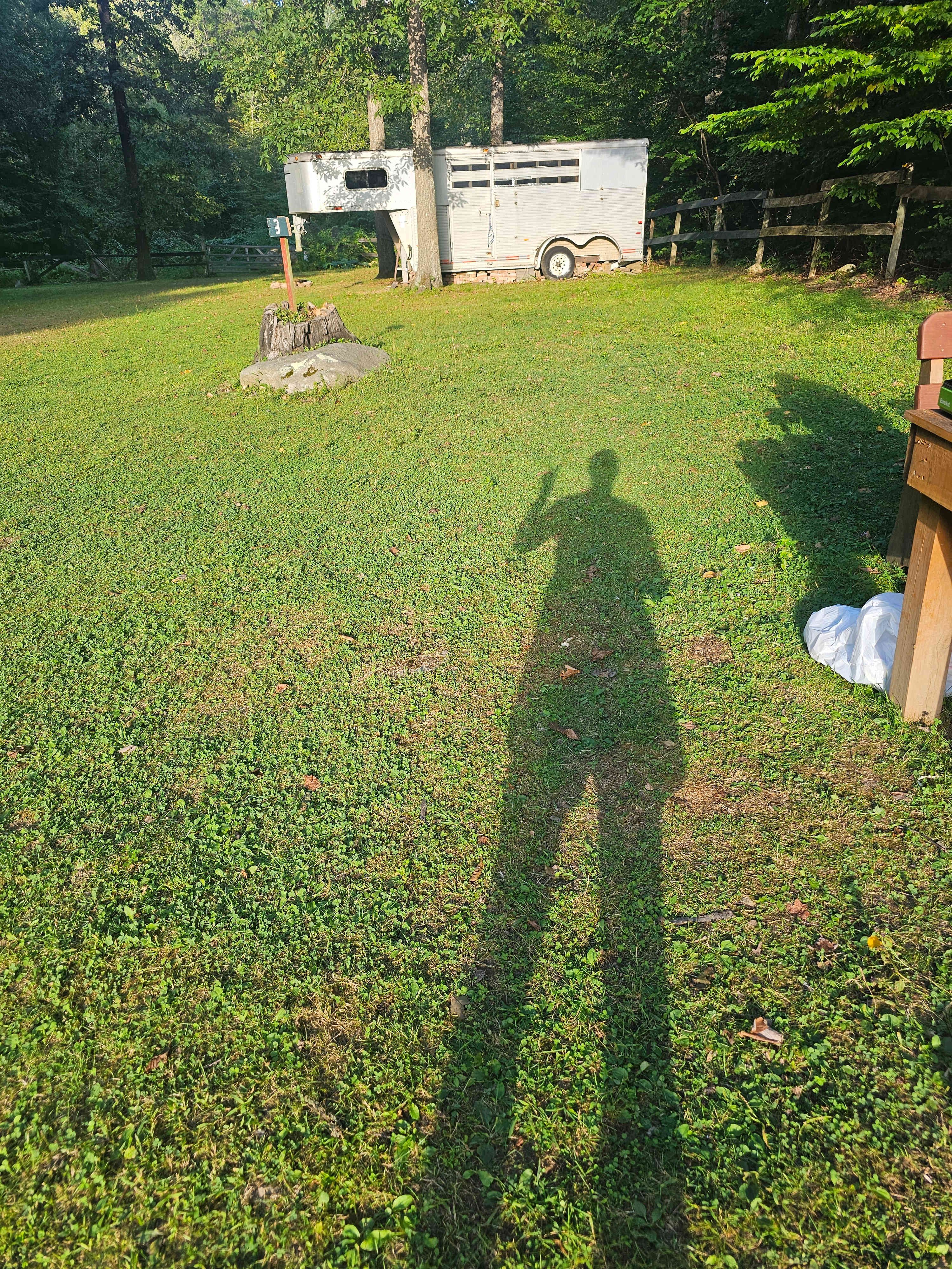 Site 3 looking toward horse trailer site