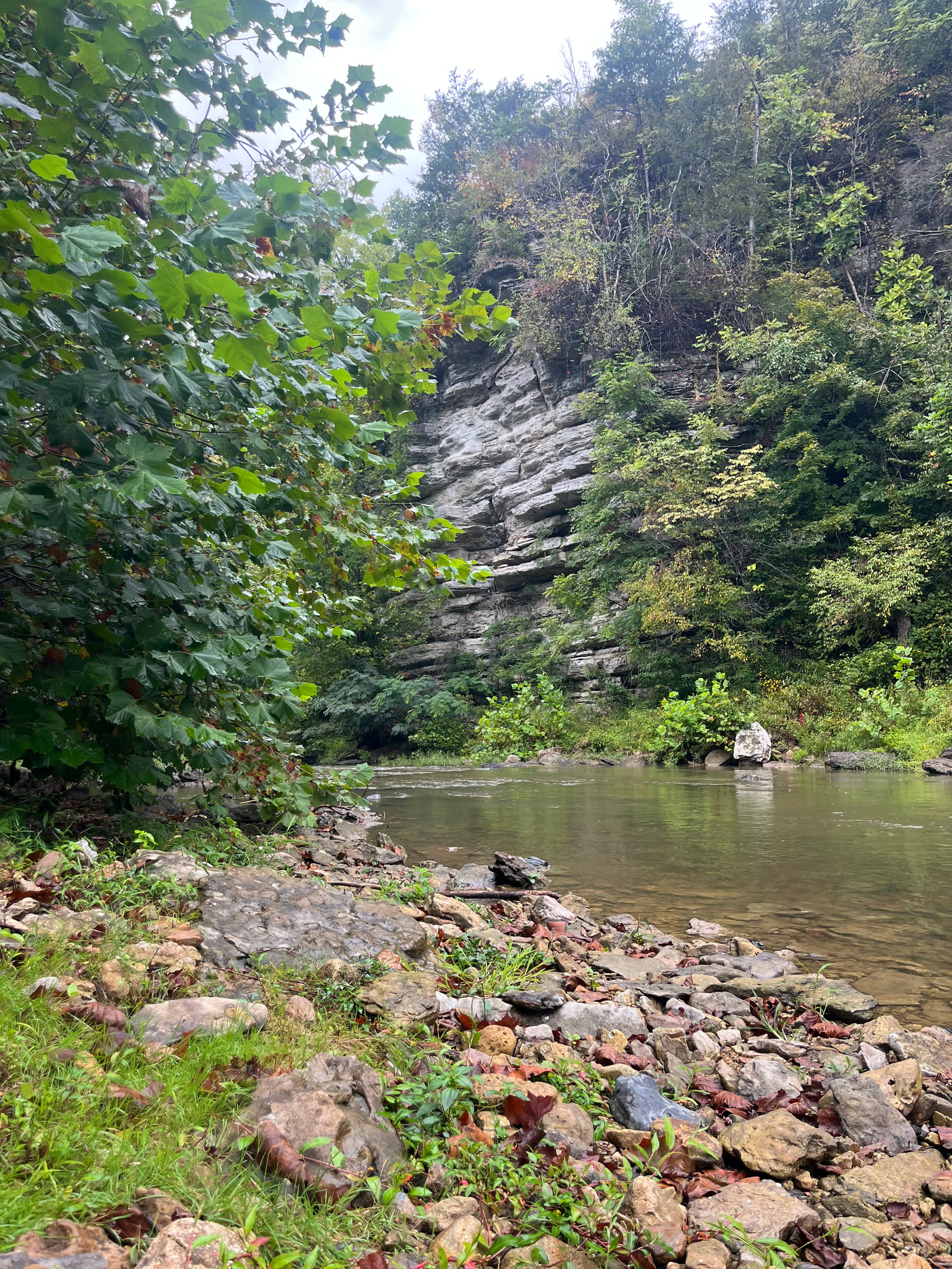 Rocks along creek walk