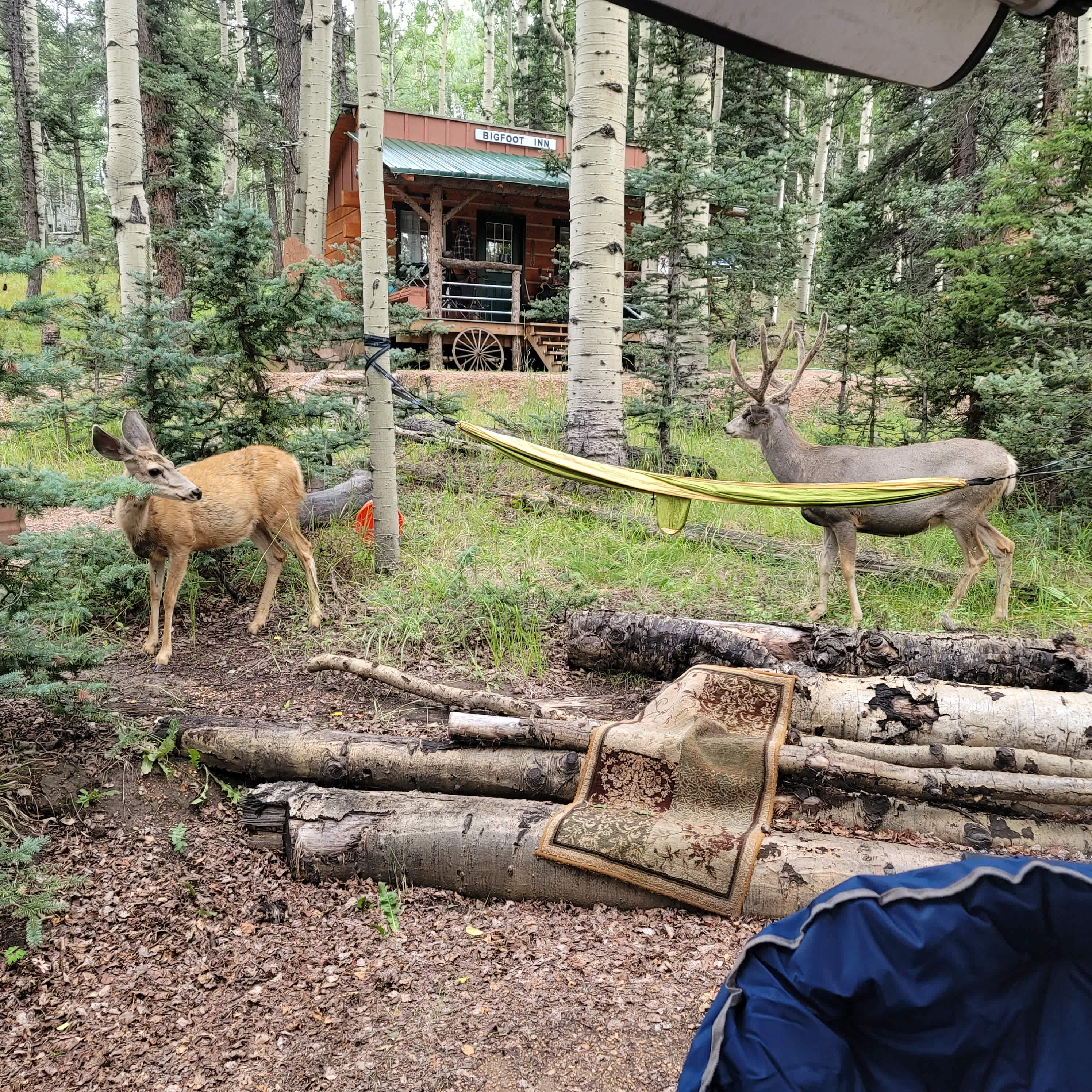 Cabin, RV & RV Site by Muller Park