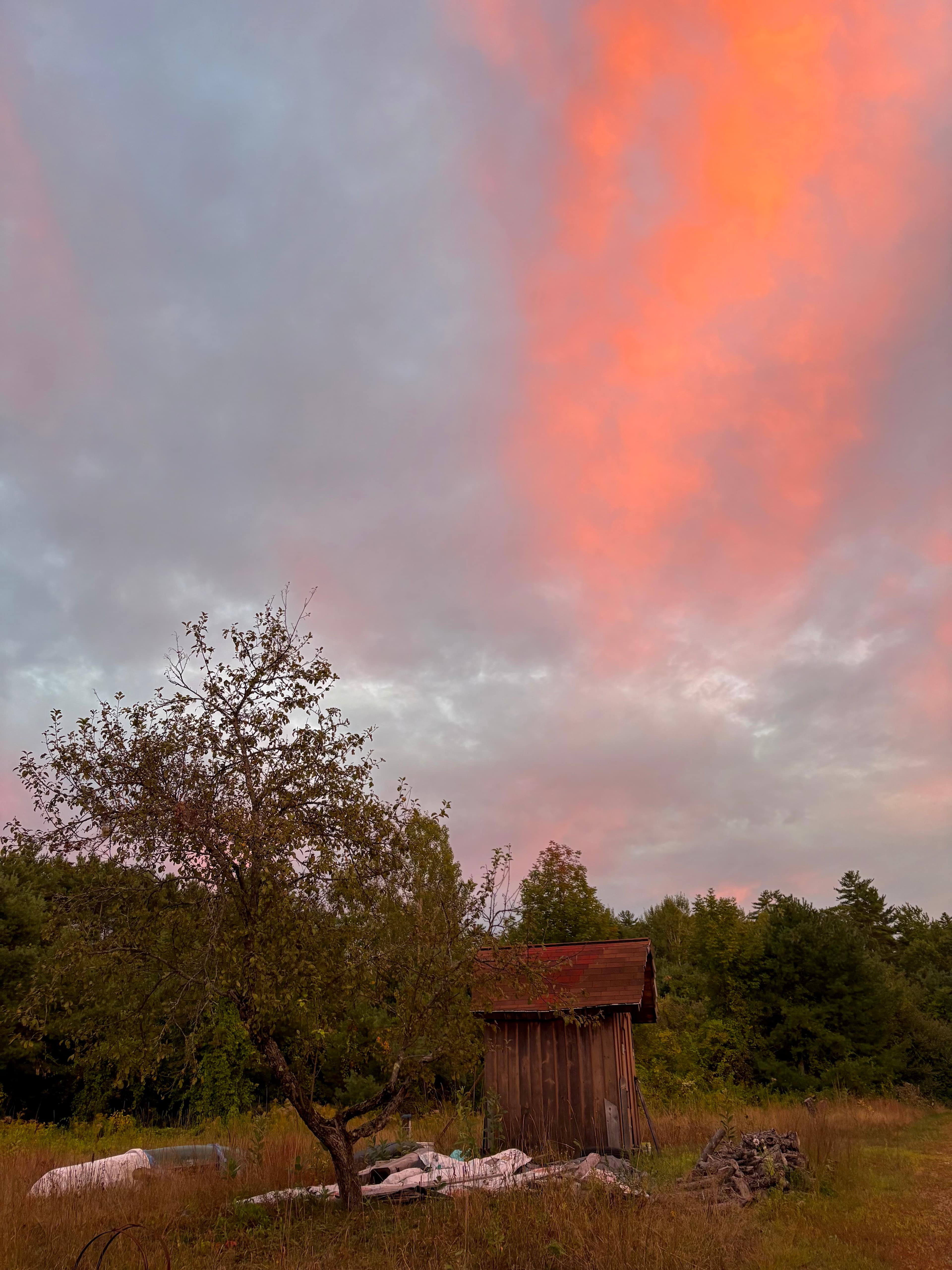 The Milkweed Sanctuary