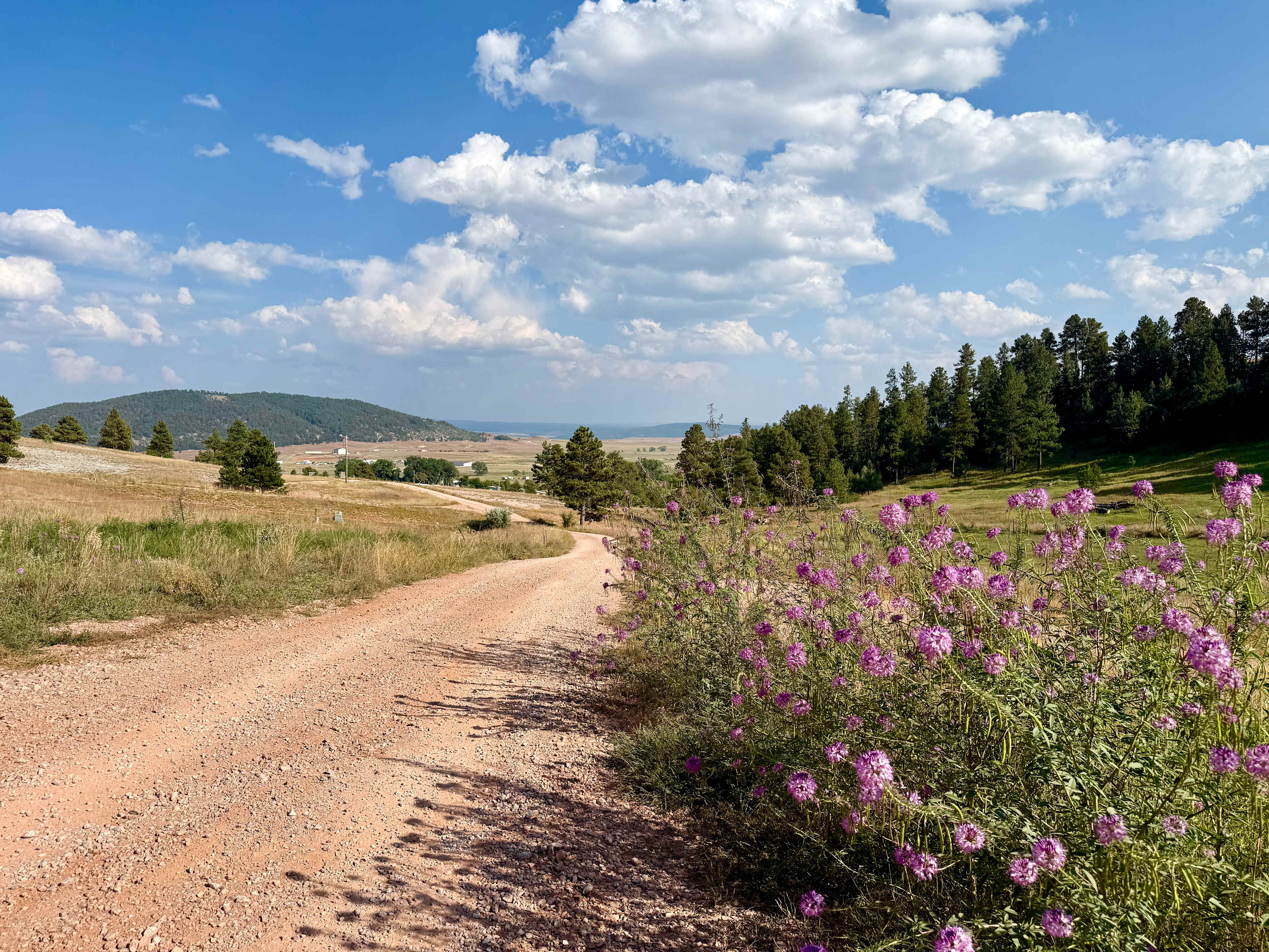Bearlodge Mountain Resort
