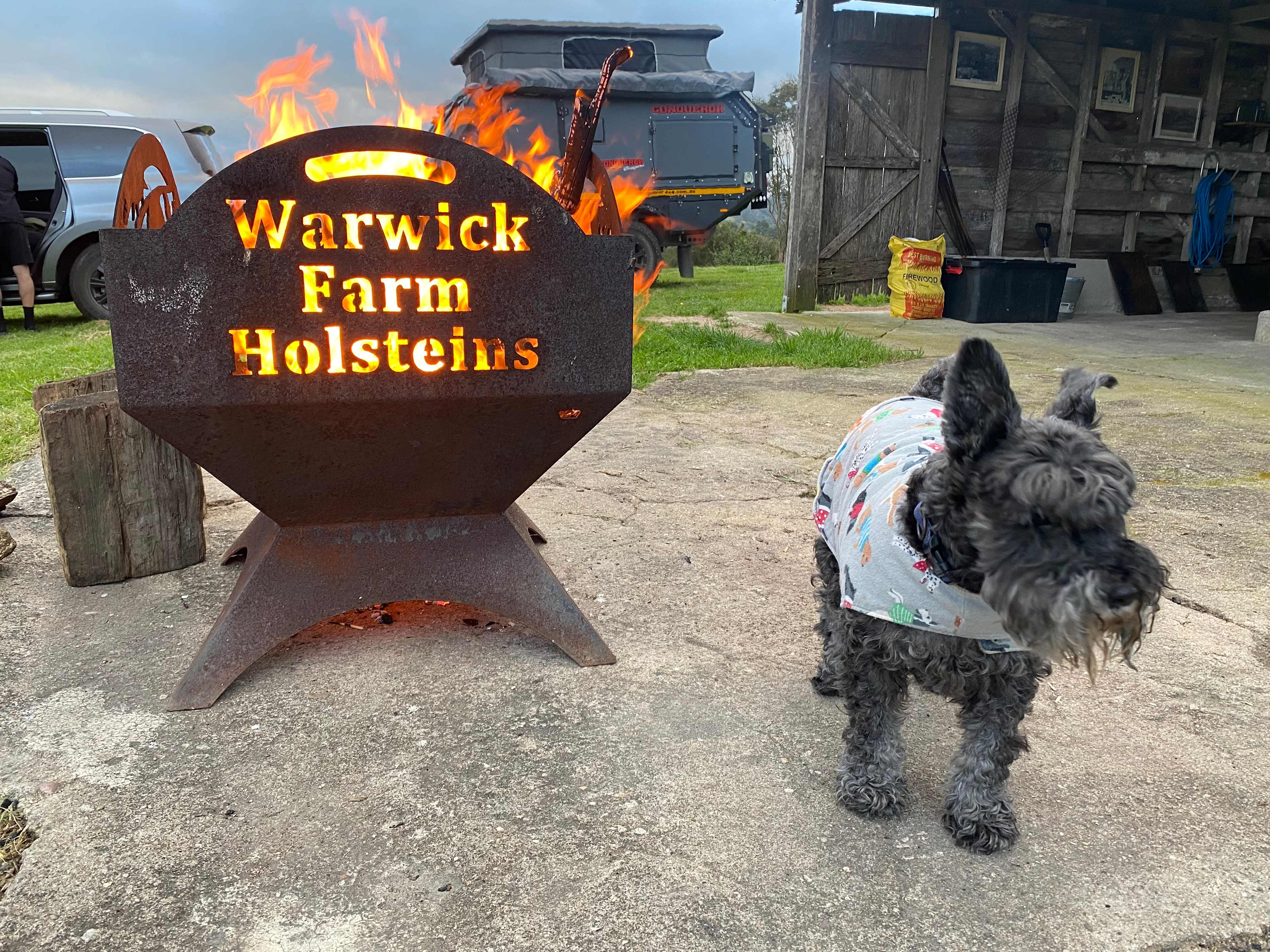 Sapphire Coast Dairy-Homestead