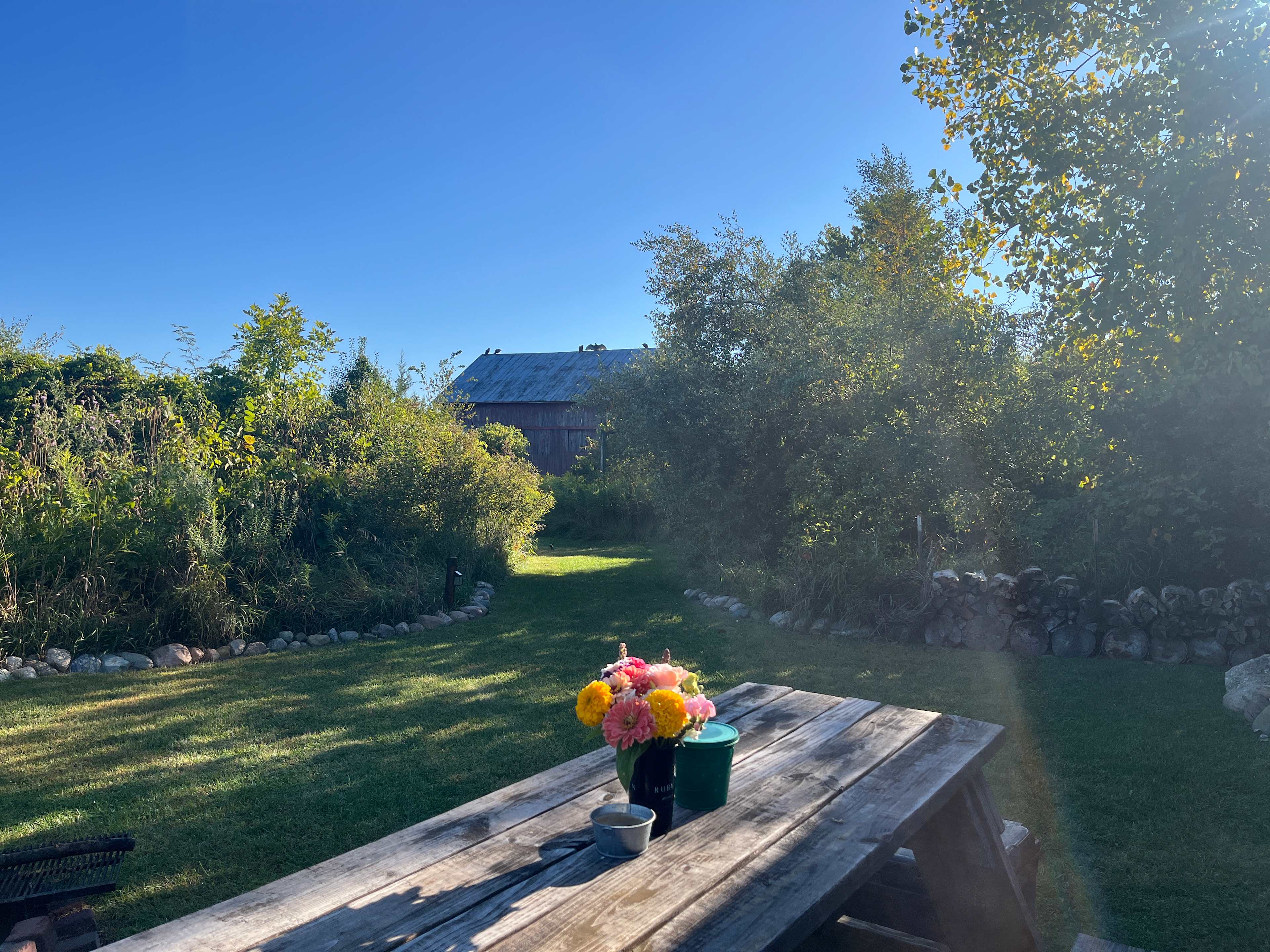 Fallen Tree Campground