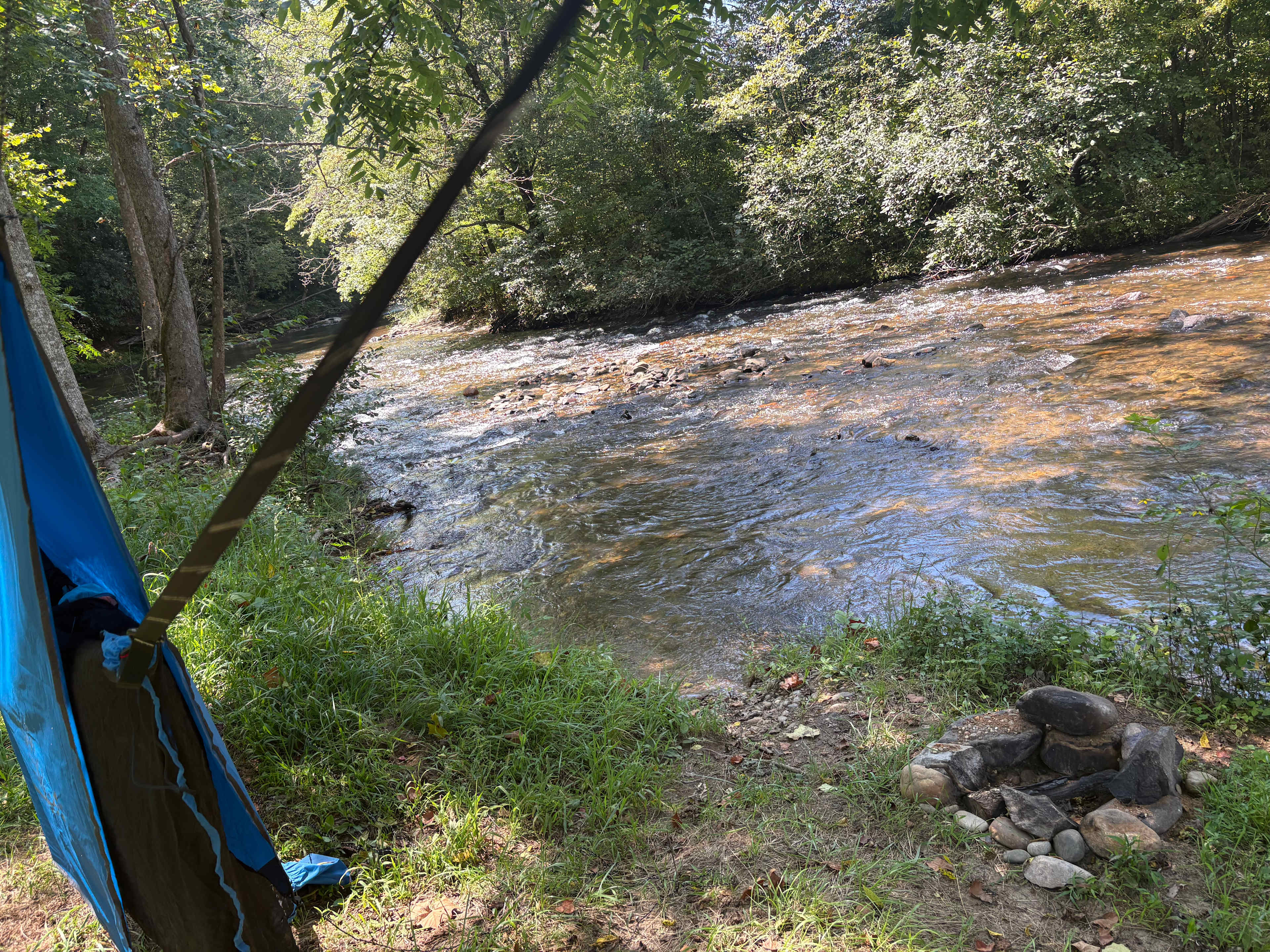 Primitive River Farm