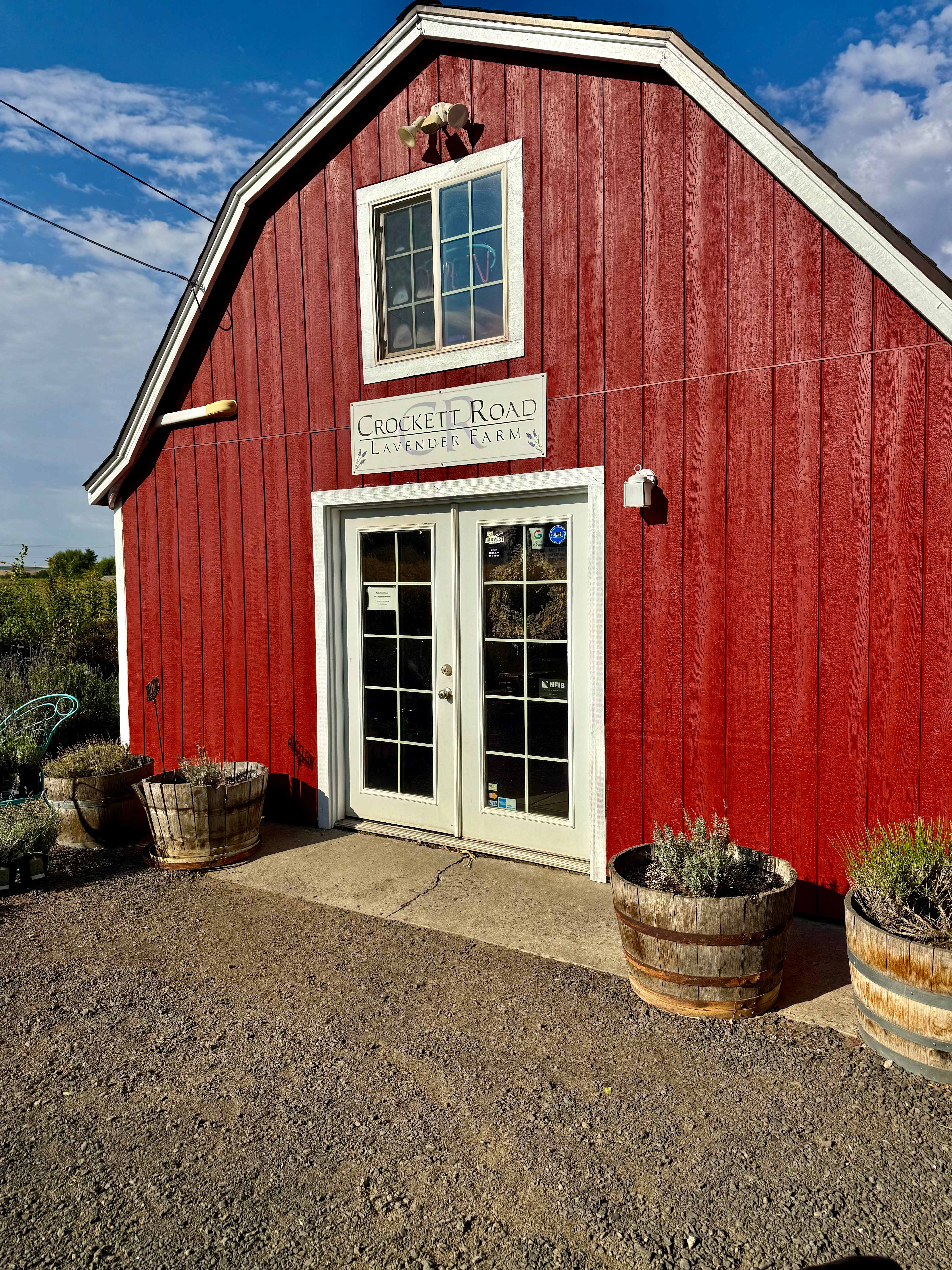 Relaxing, Peaceful Lavender Farm