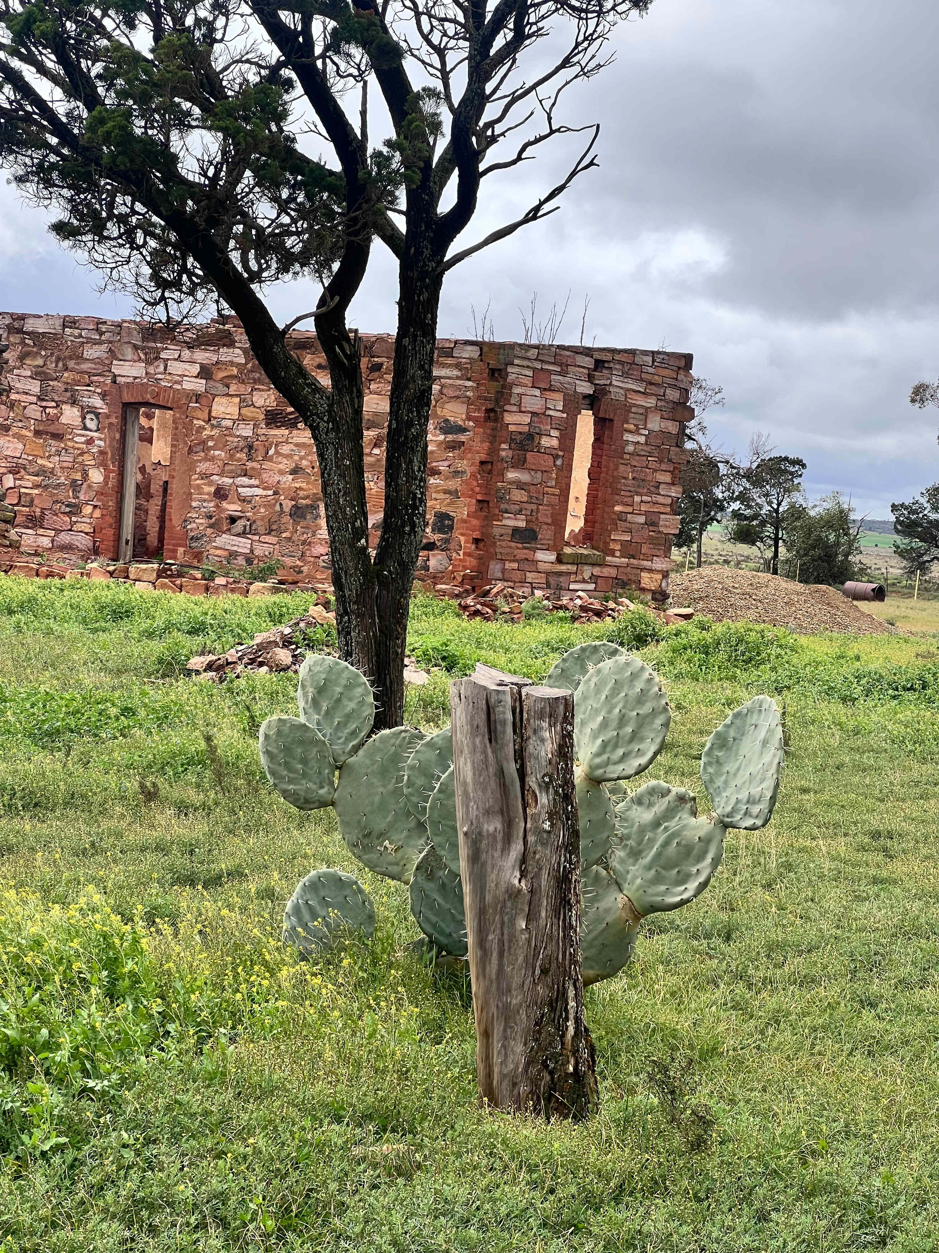 Maverick's Rest - Alpaca Farm Stay