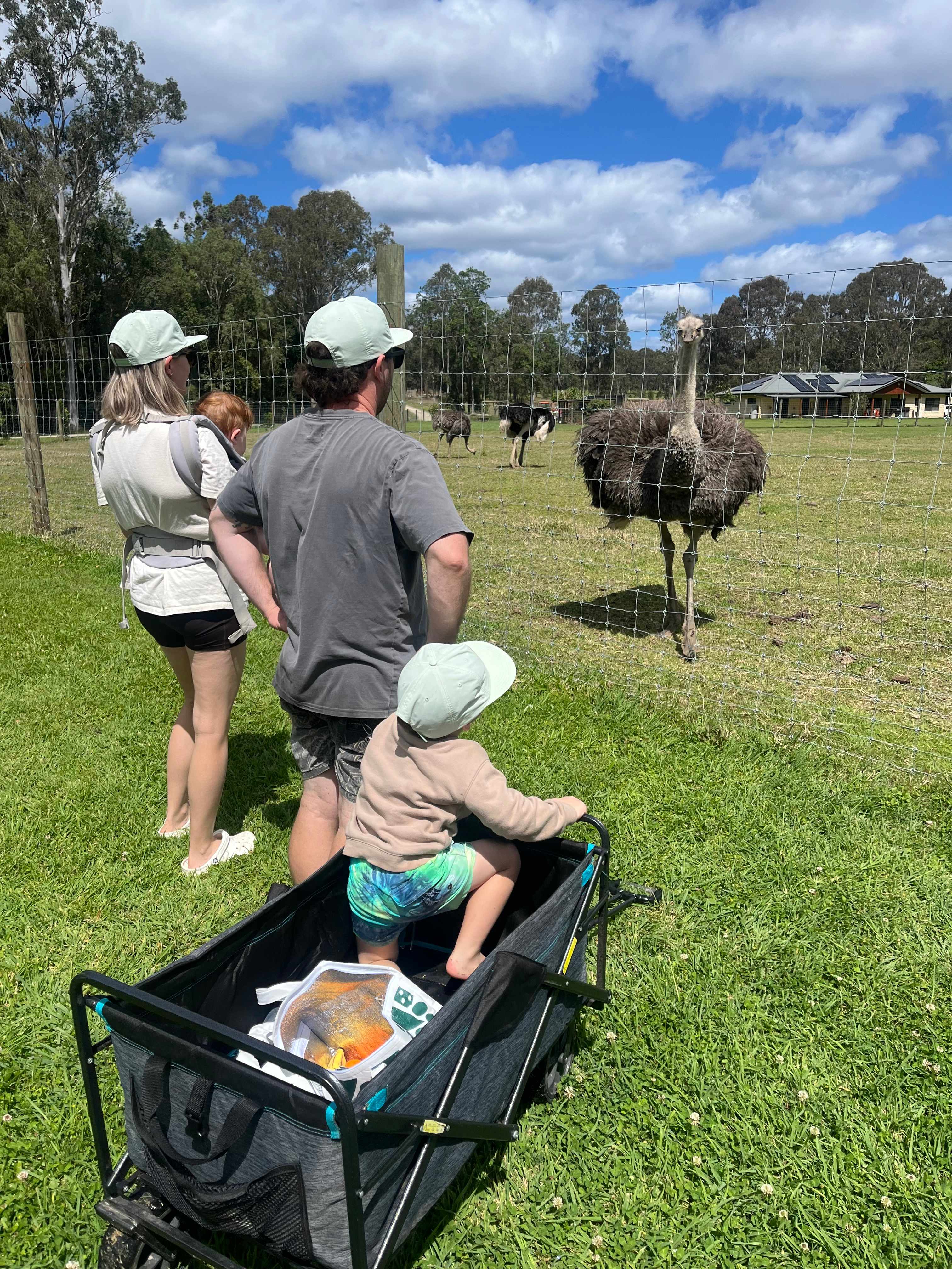 Yabba Ridge Camping Near Imbil, QLD, AU: 12 Best Campgrounds 2025 | Hipcamp
