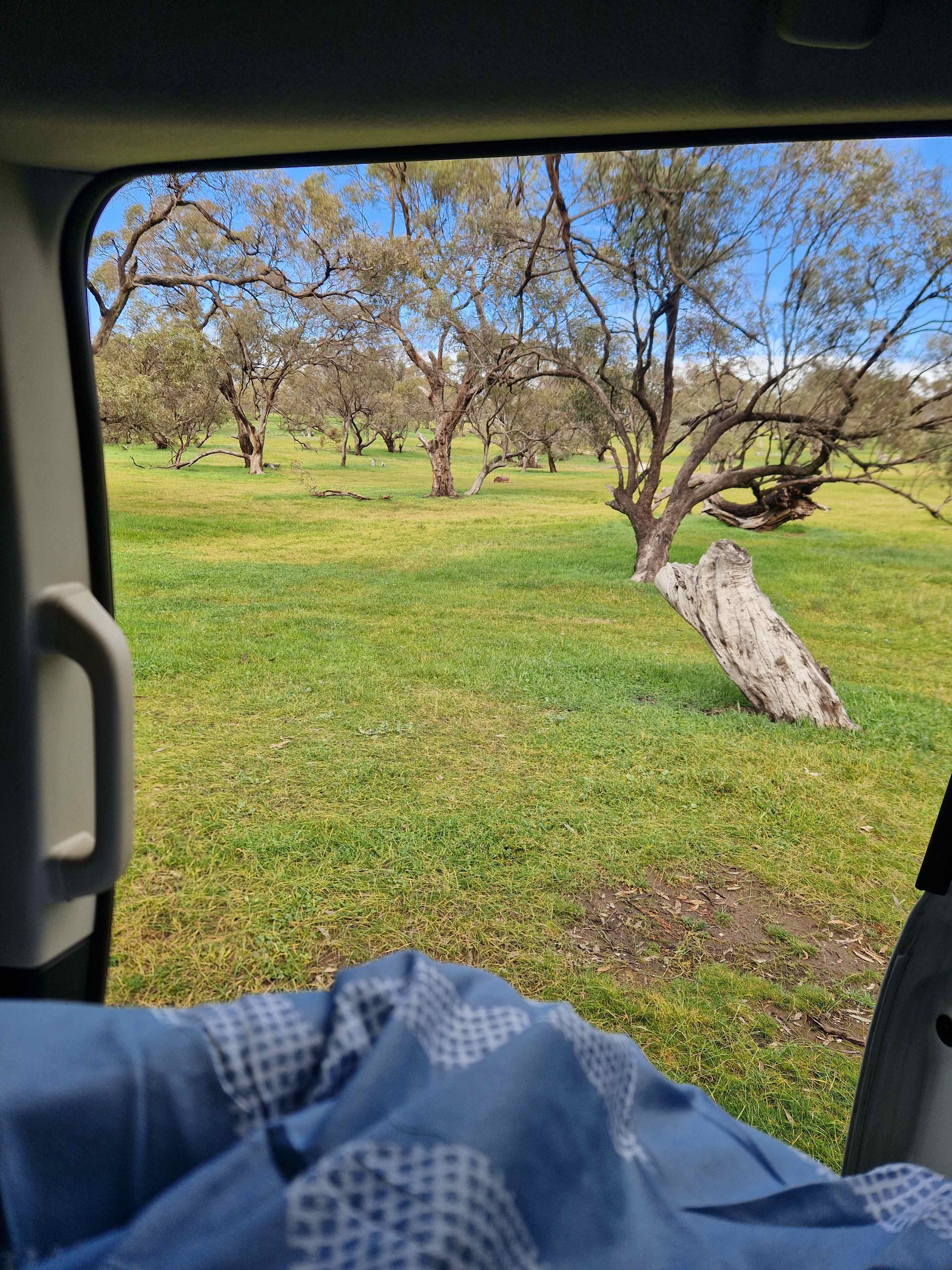 Morning view from camper