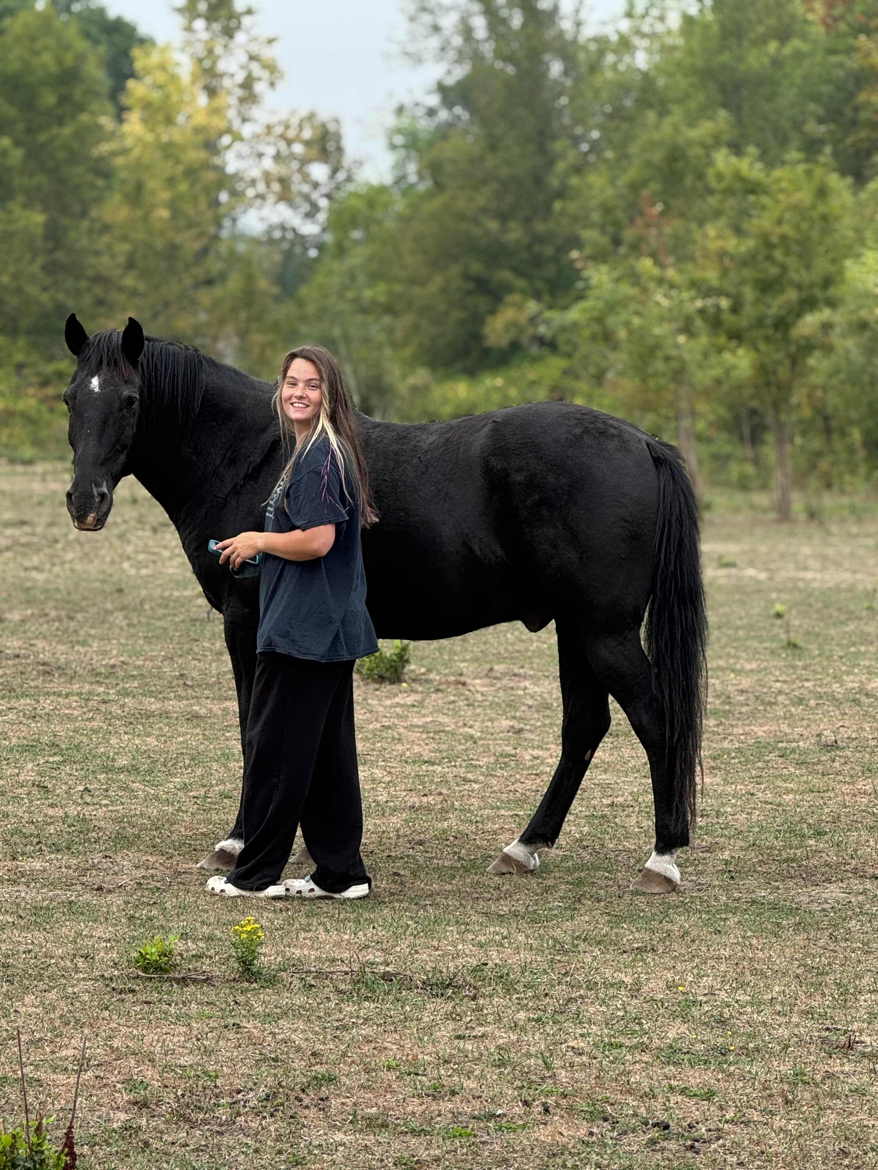 The horses and goats were lovely 