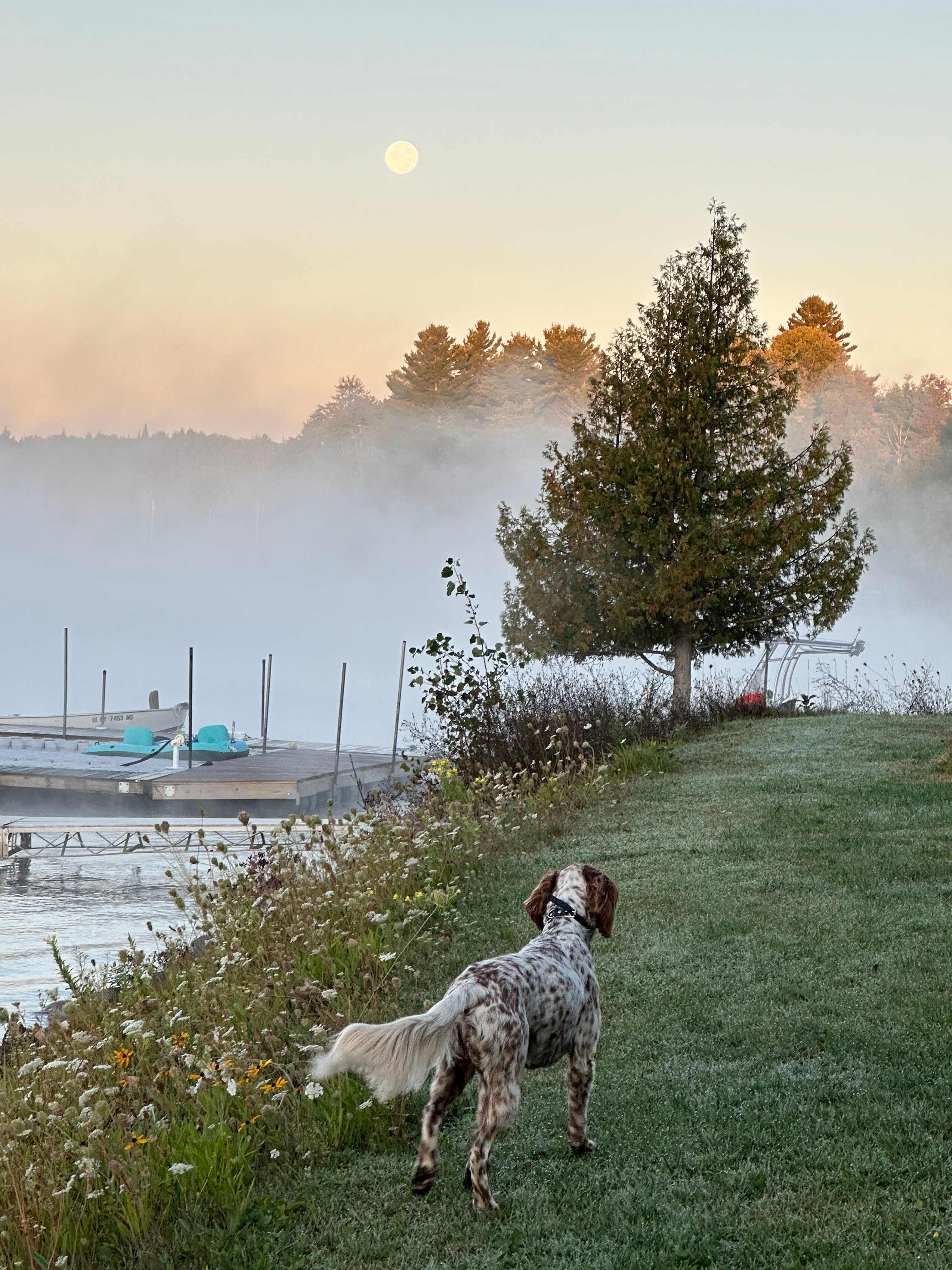 Birch's Lakeside Campground/Marina