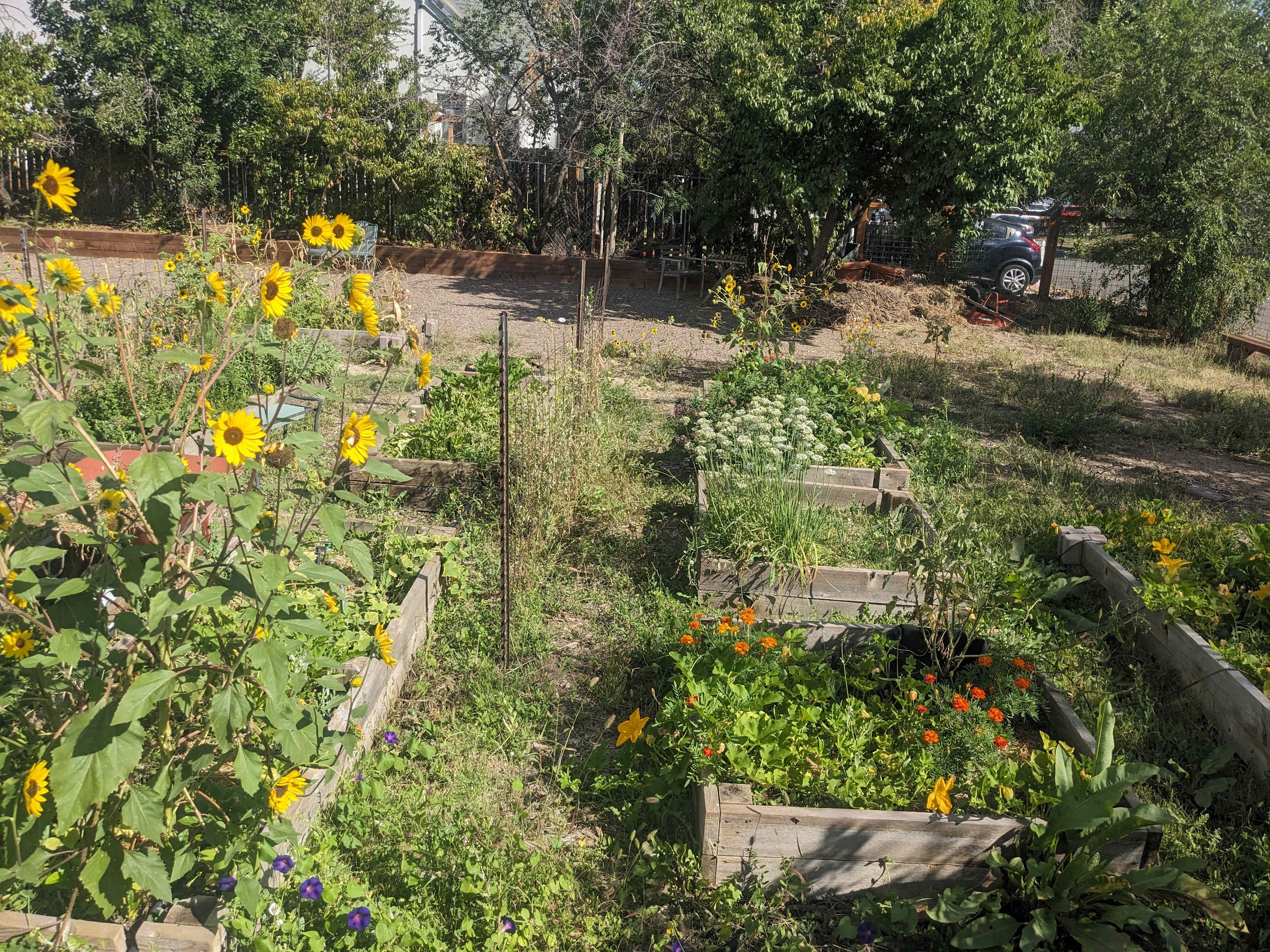 Counterpath: Urban Oasis