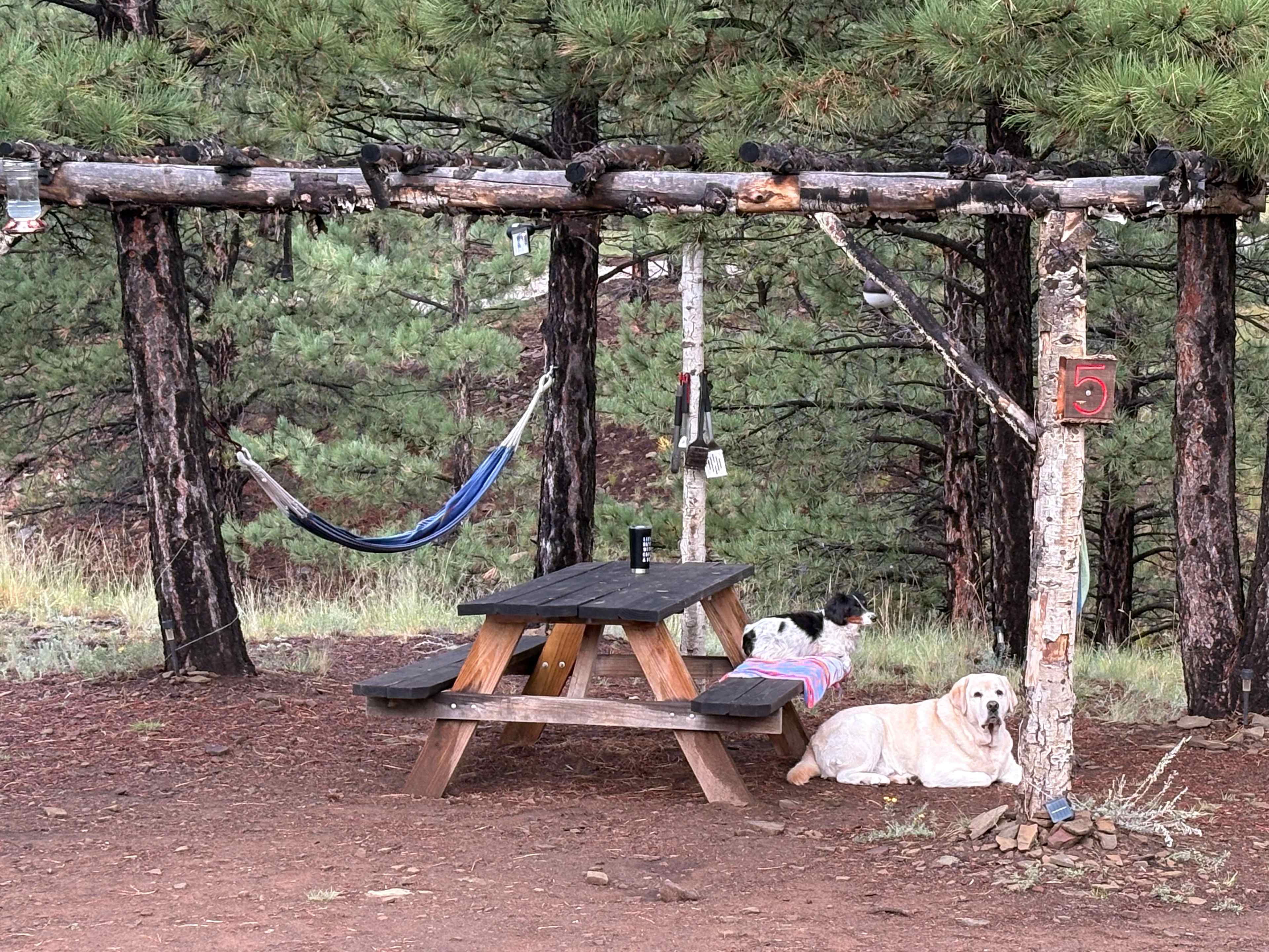 Picture of the site