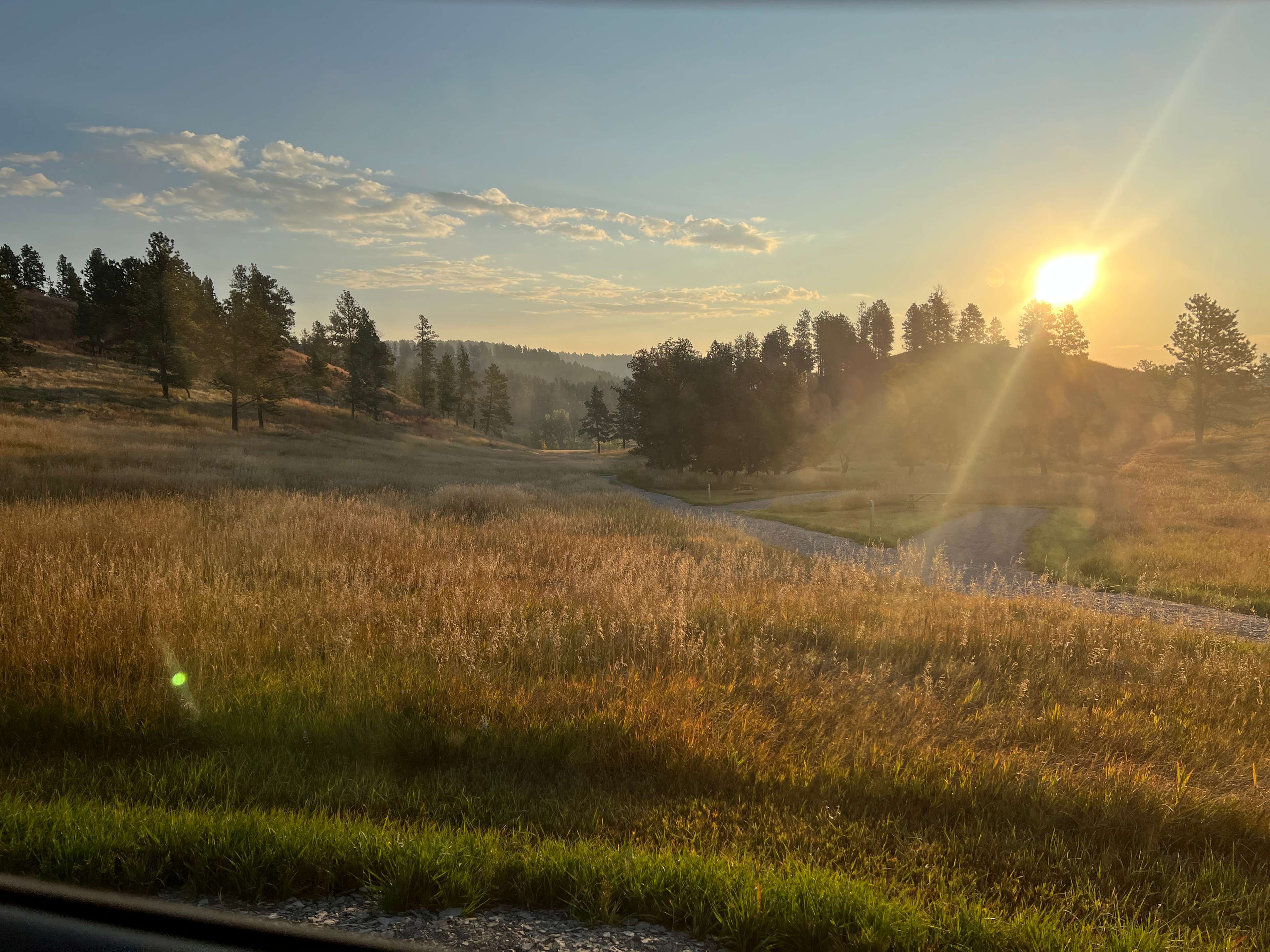 Good morning beautiful sunshine!