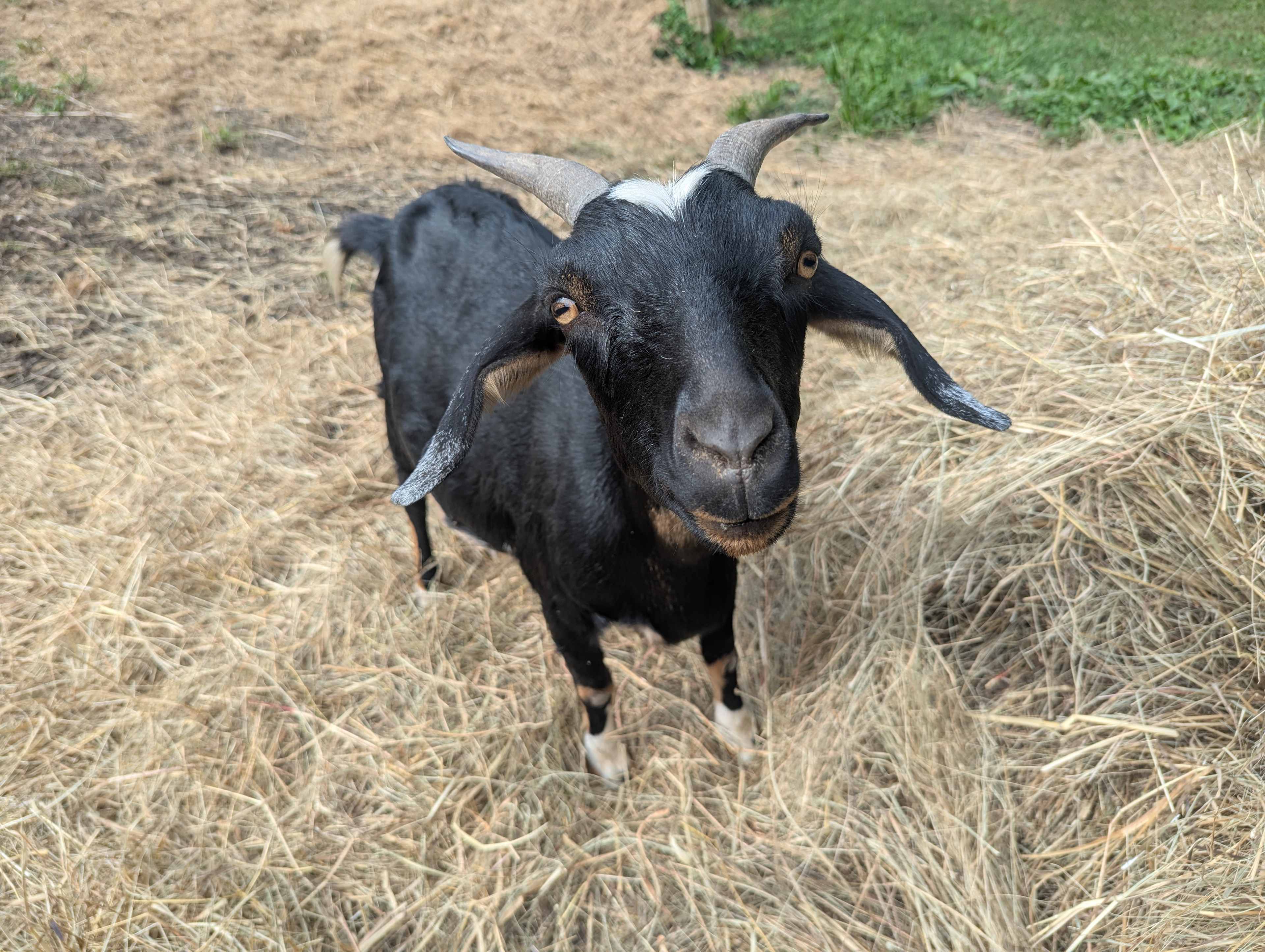 Milo Farm Sacred Land