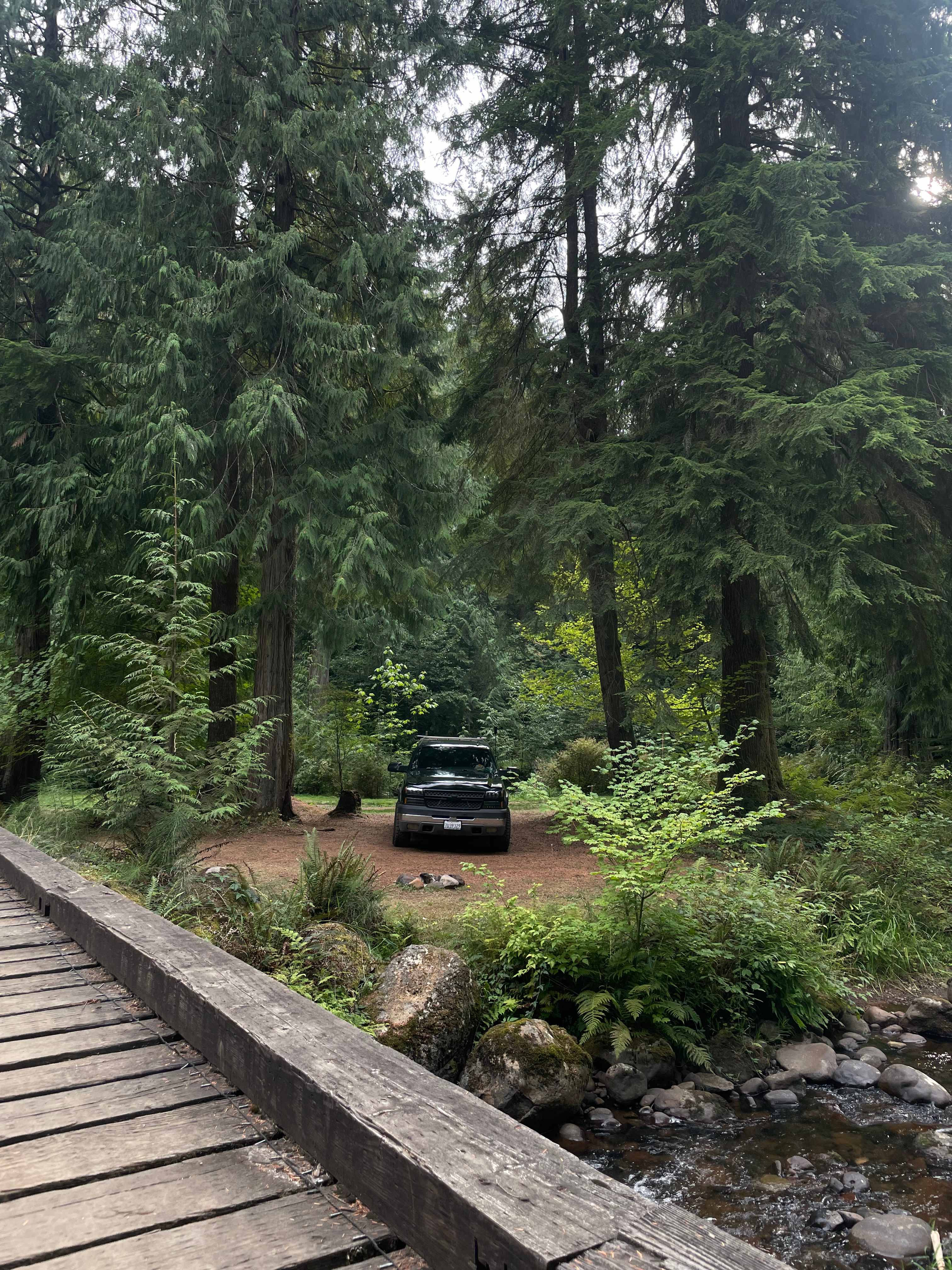 Camp Cedar Creek ⛺️🌲🚐