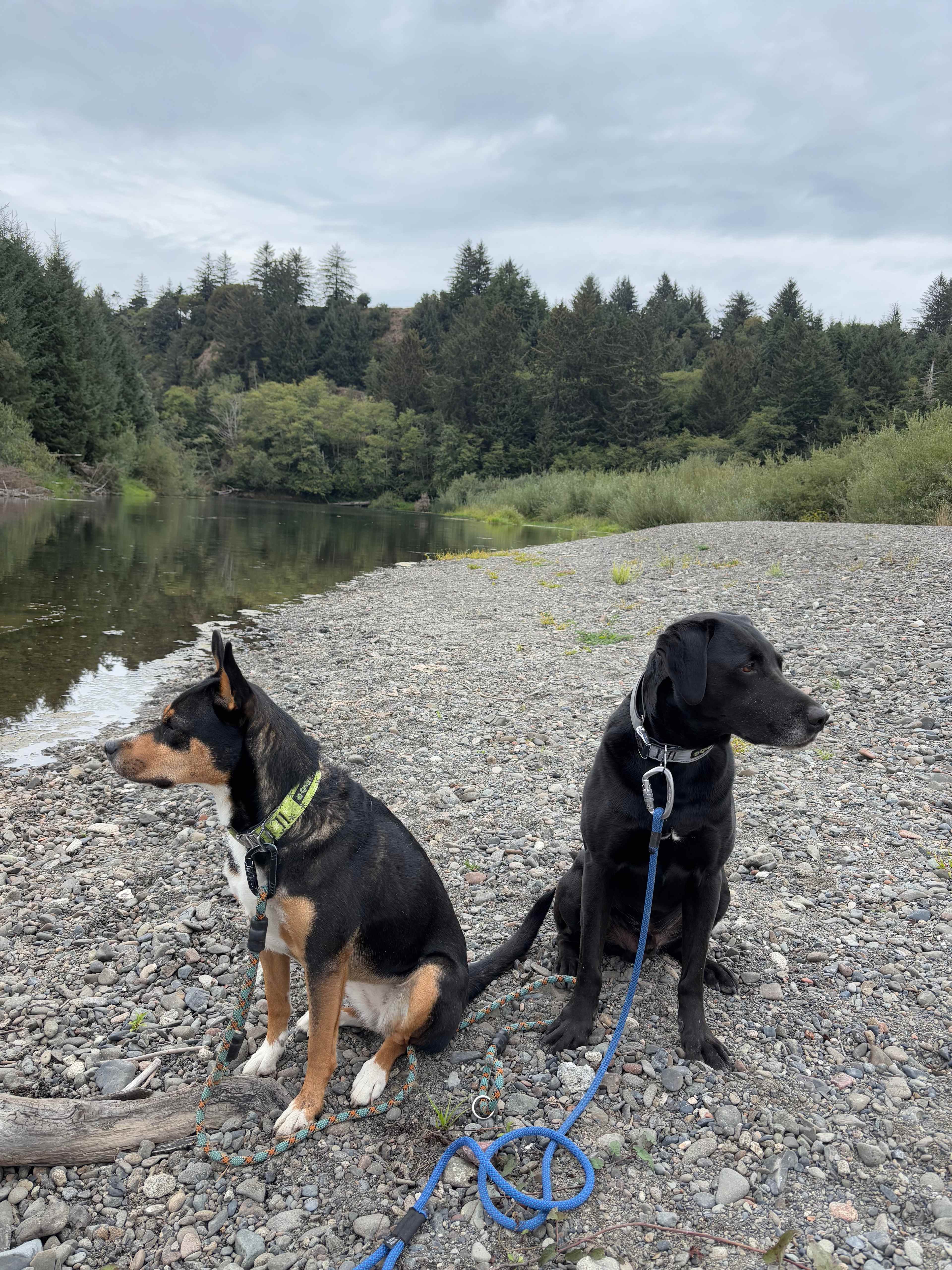 Fennel Flats - At The Orchard Hole