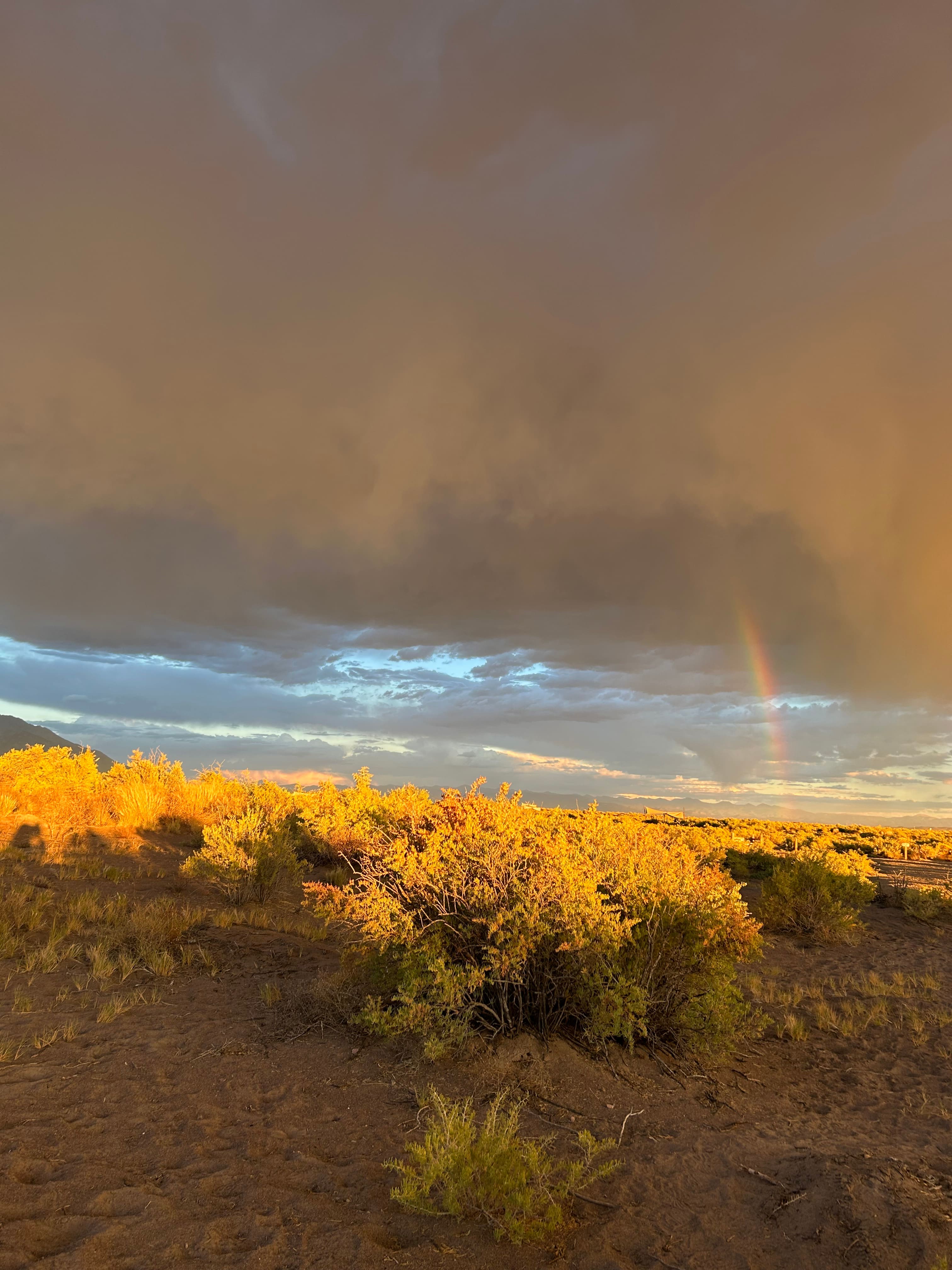 Ramble at Great Sand Dunes NP