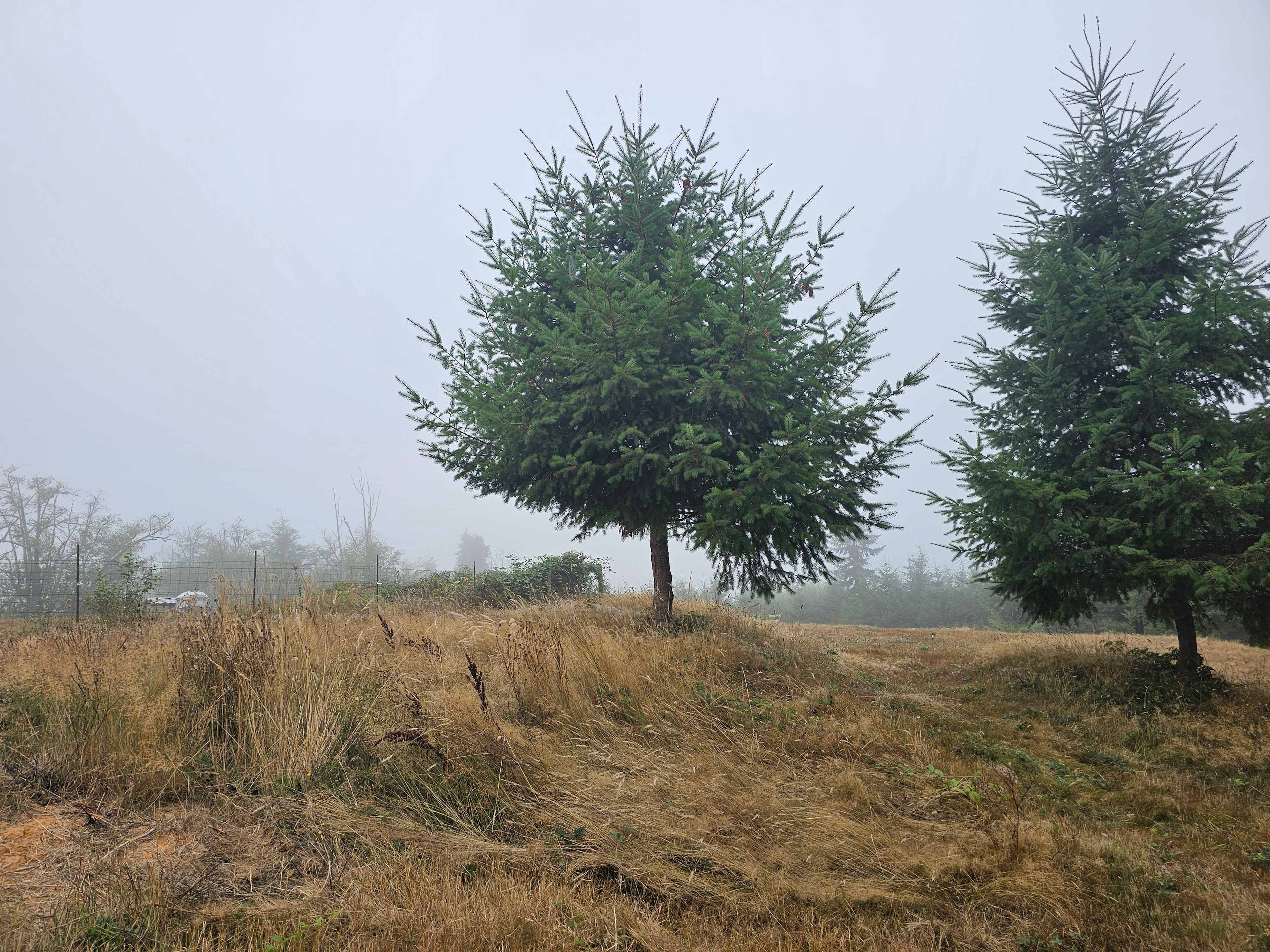 HolisticLifeFarm Clatskanie OR