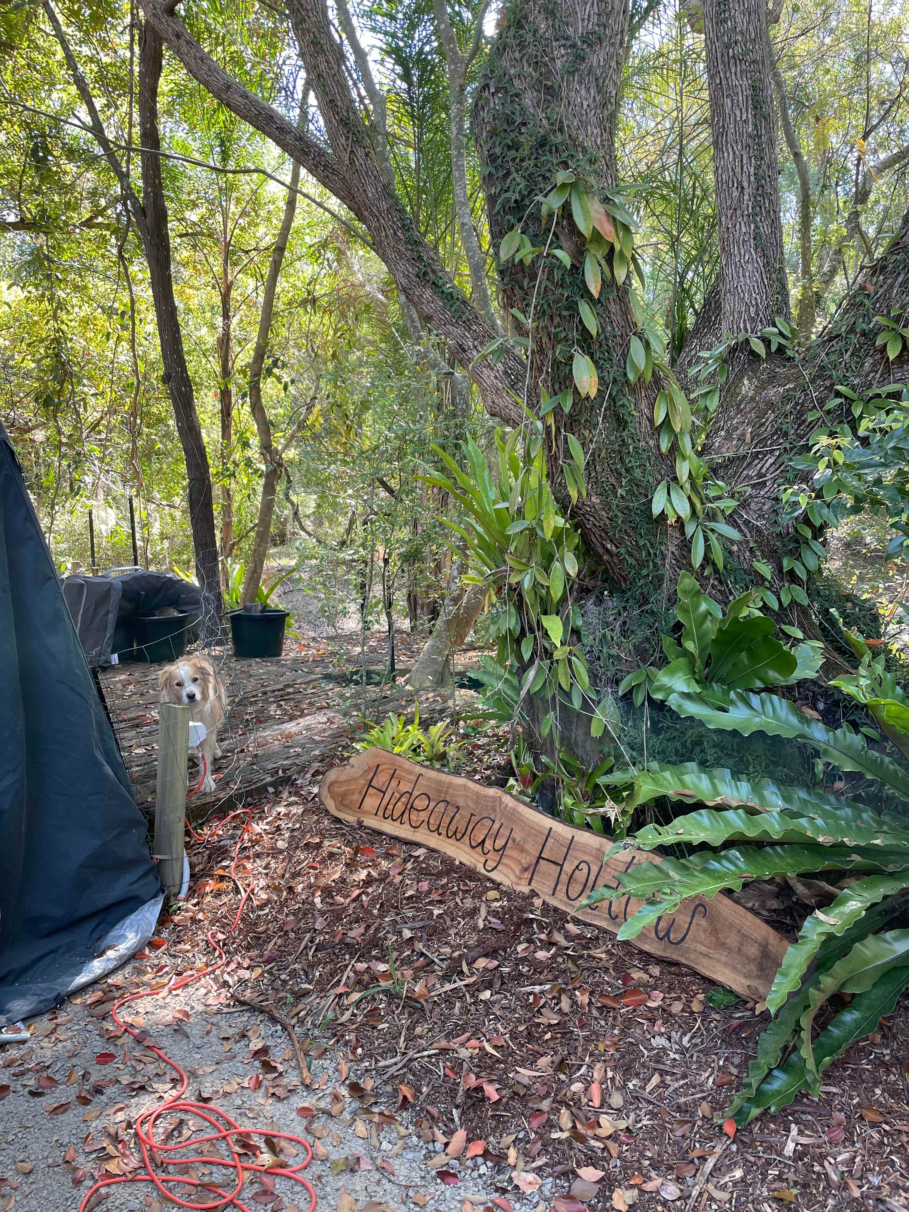 The Enchanted Paddock