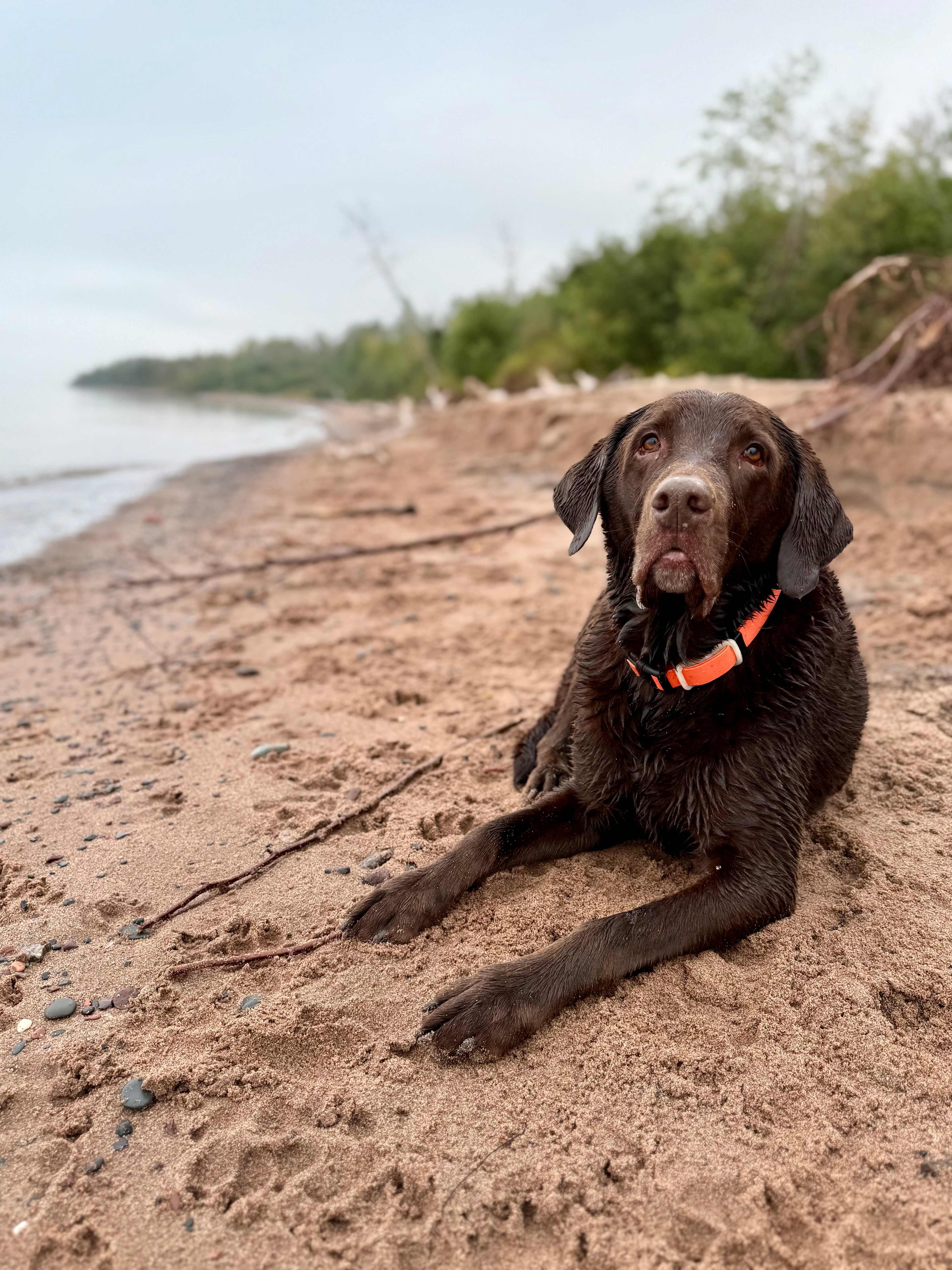 Superior Beach Camp