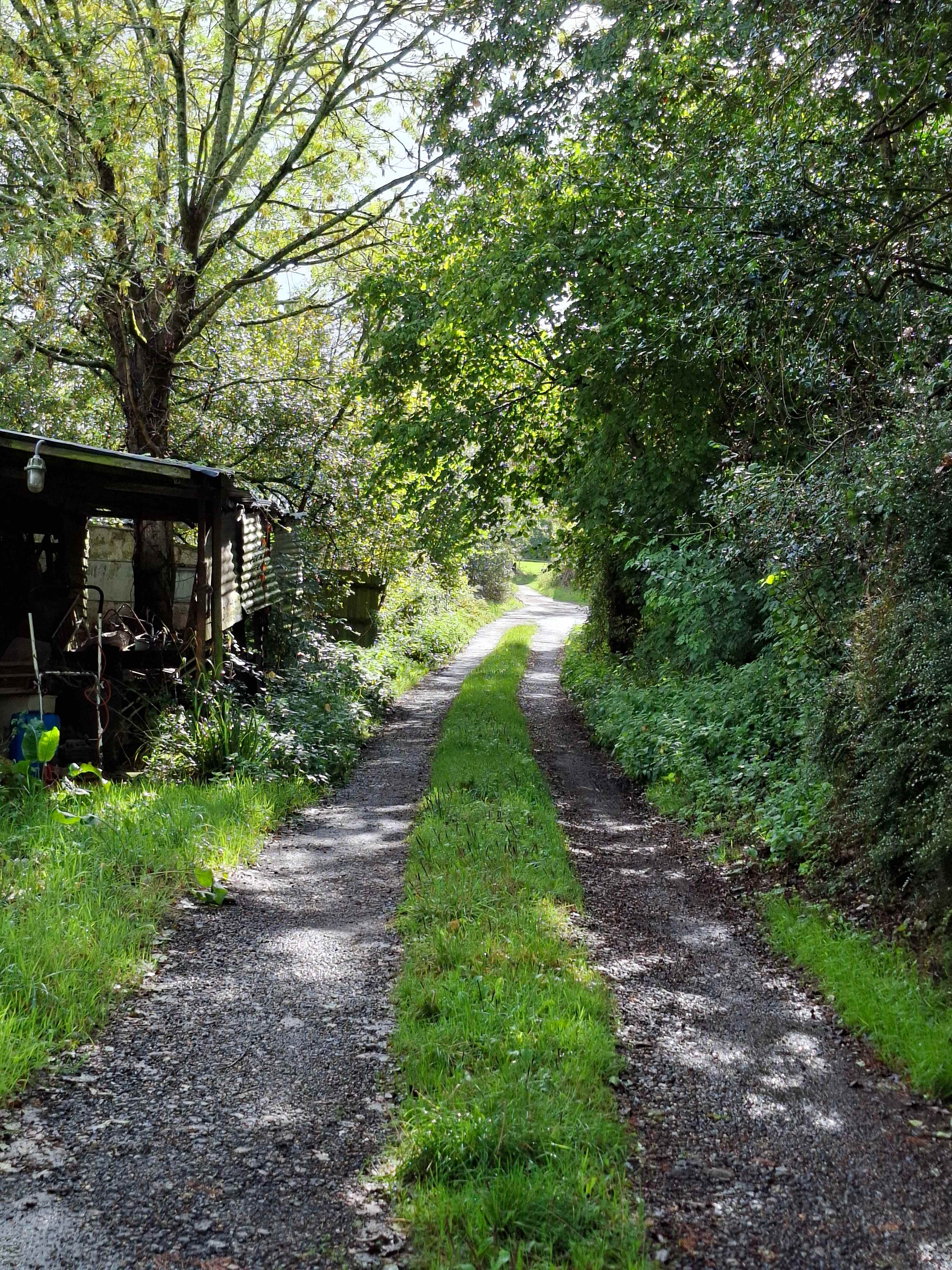 Cattlestone Farm Adult Only