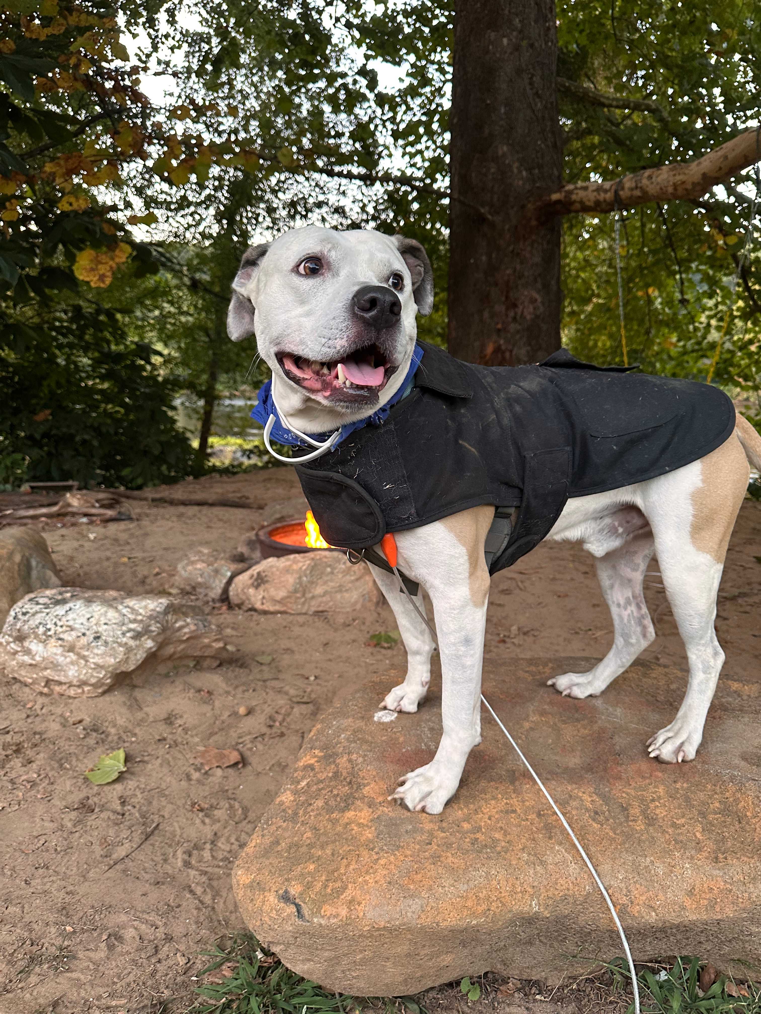 Seven Islands River Front Campsites