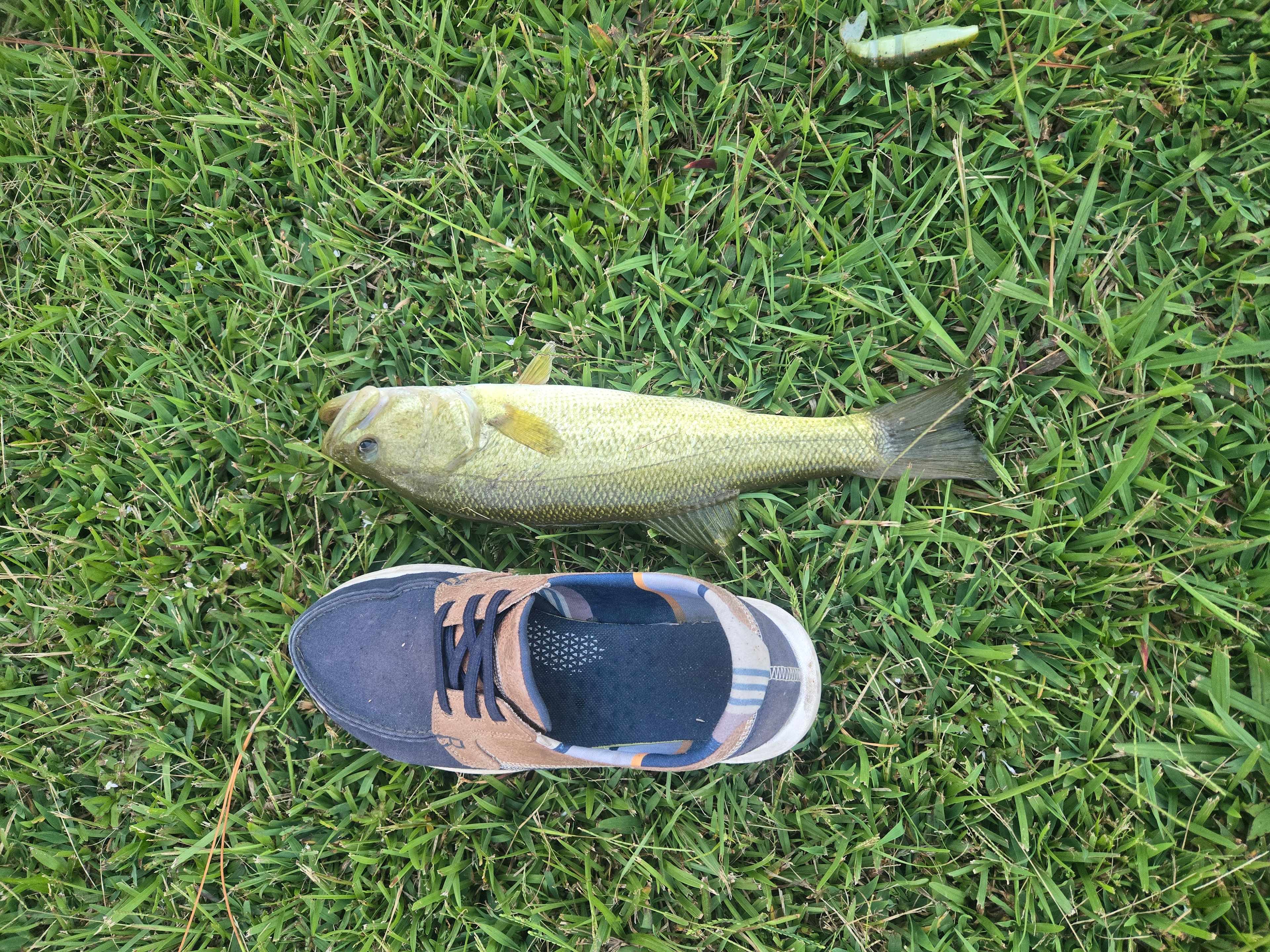 Moon Lake Farm - Camp, Fish, Relax