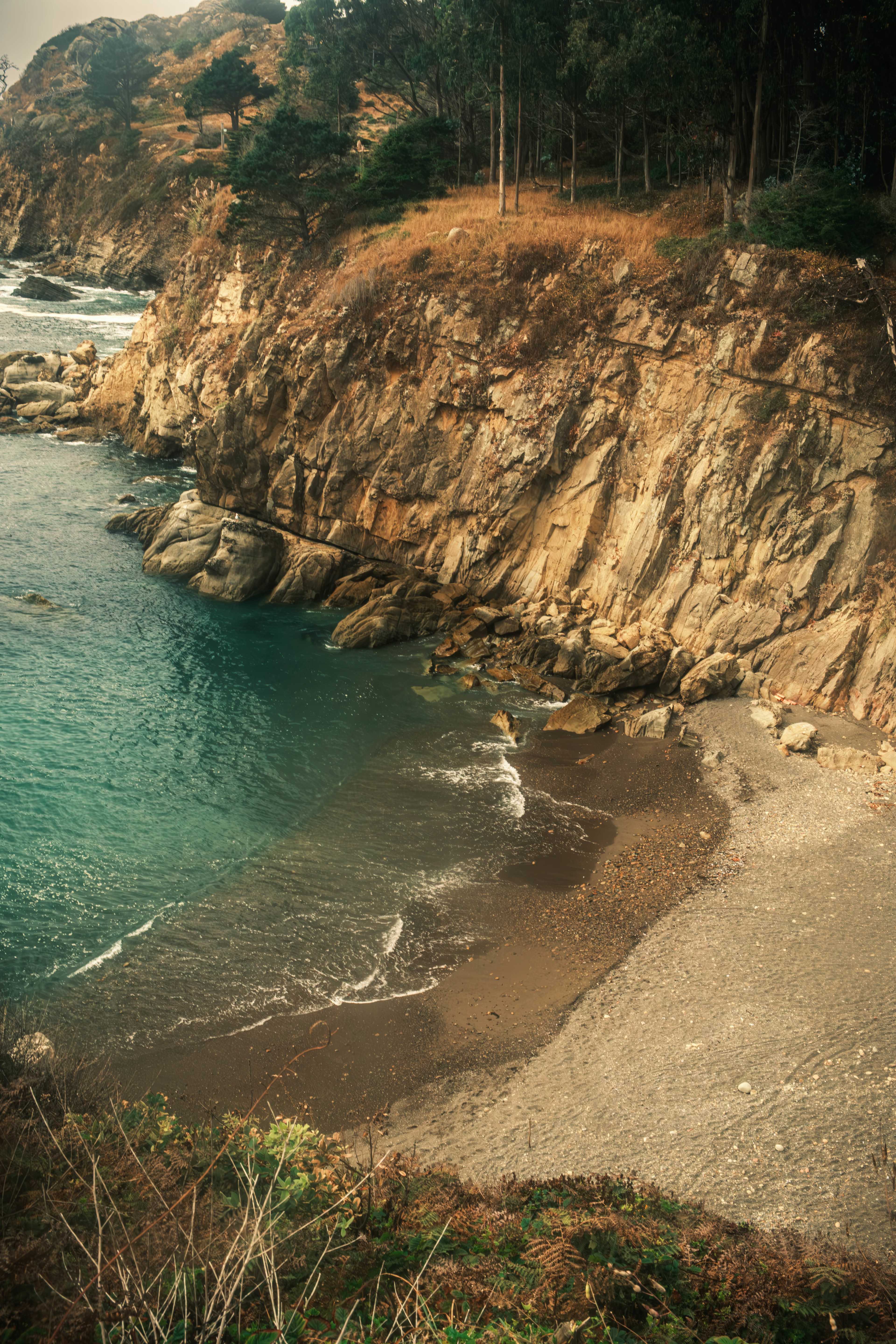 Timber Cove Campground