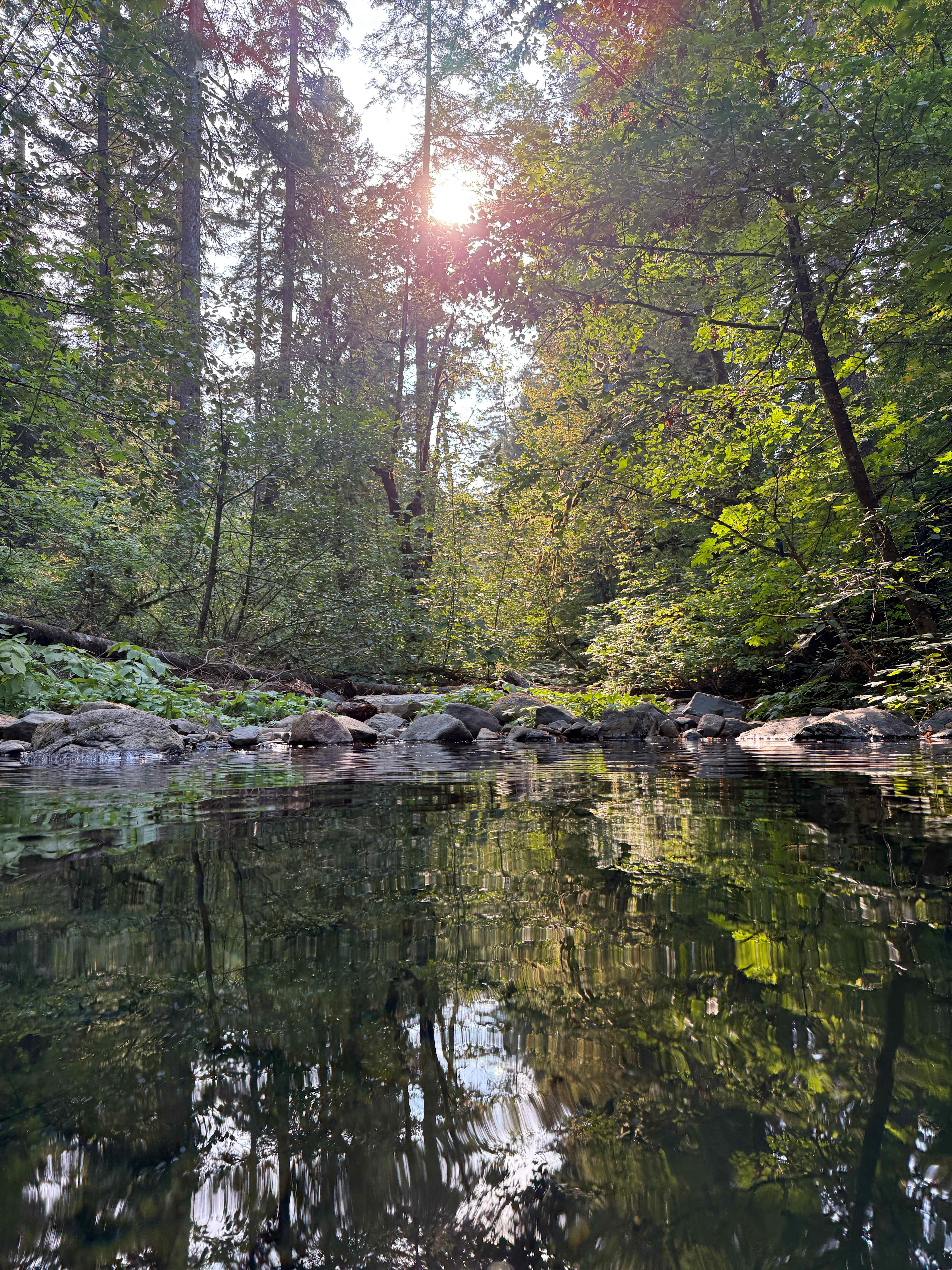 Pond near campsites
