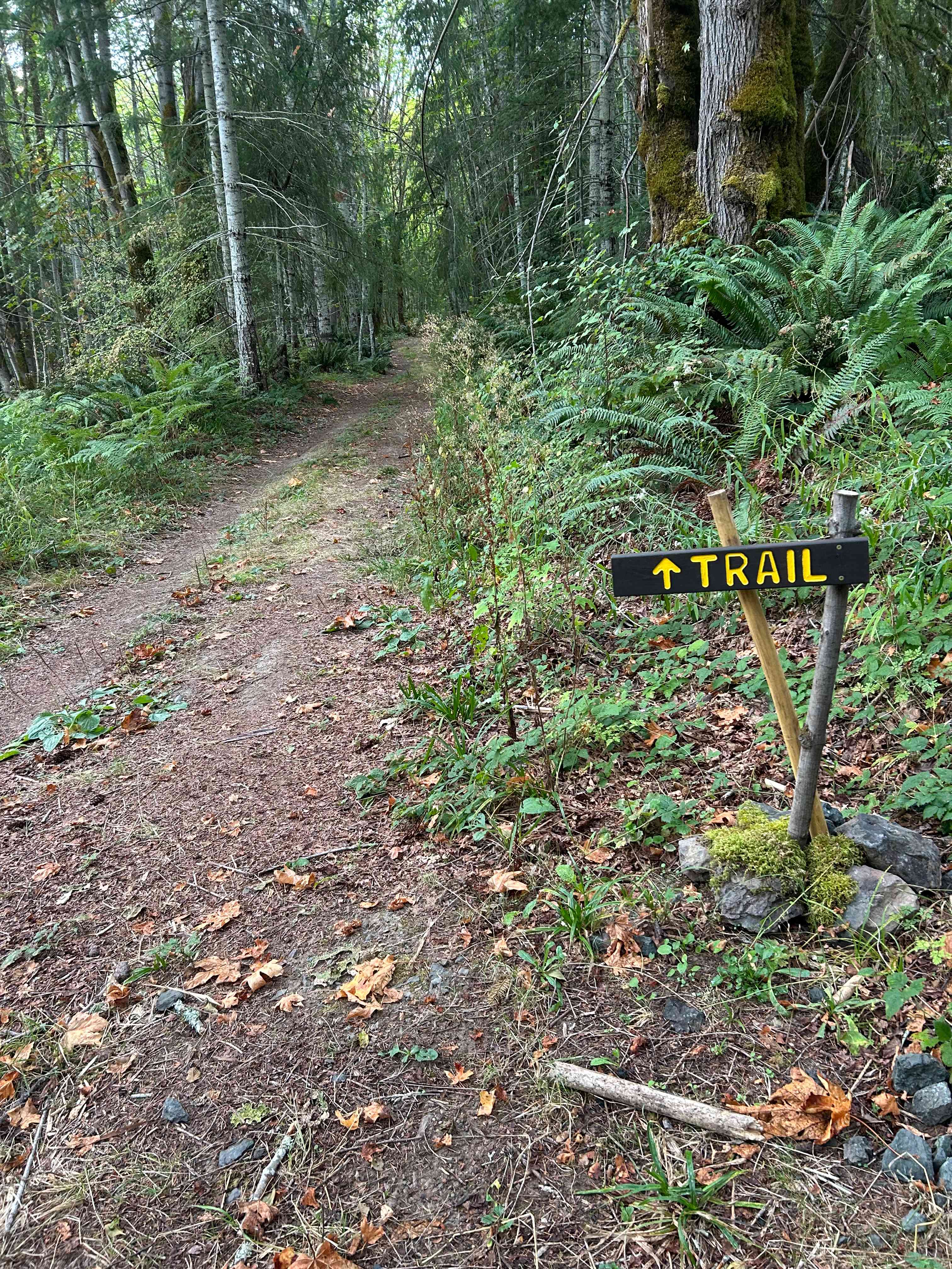 Wandering Joy Campground